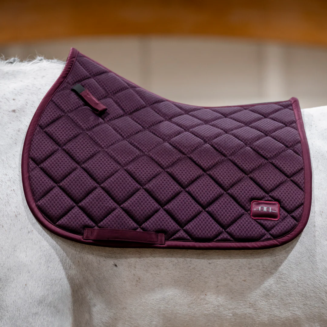 Horseware Ireland Alessandro Albanese Performance Jump Pad - Image 19