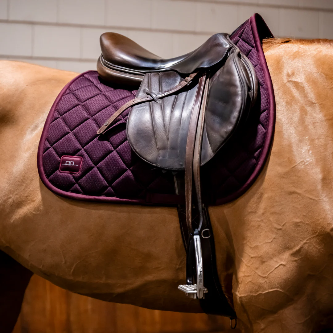 Horseware Ireland Alessandro Albanese Performance Jump Pad - Image 21