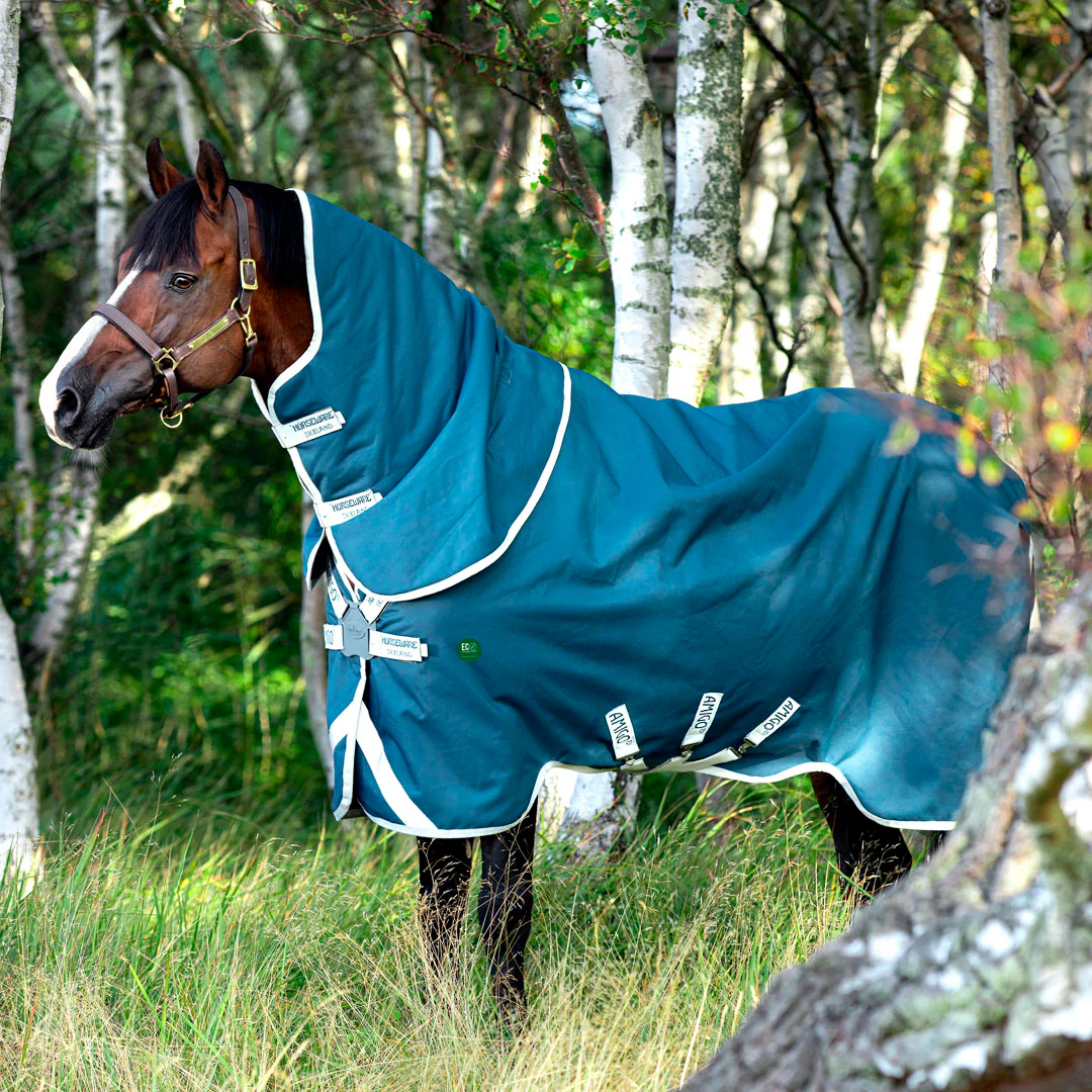 Horseware Ireland Amigo AmECO Bravo 12 Plus 100g Turnout Rug - Image 4