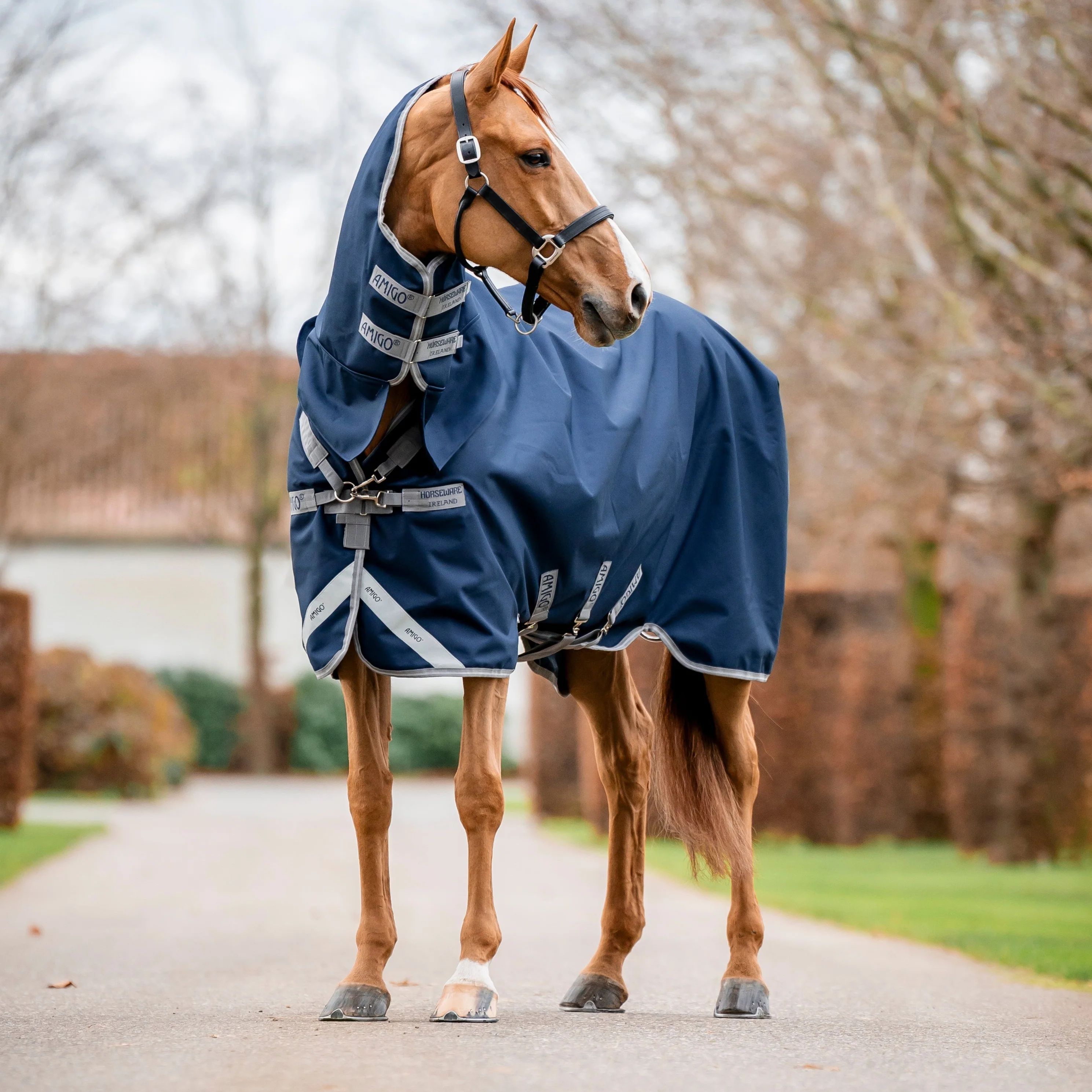 Horseware Ireland Amigo 1200D Integrated 150g Turnout Rug