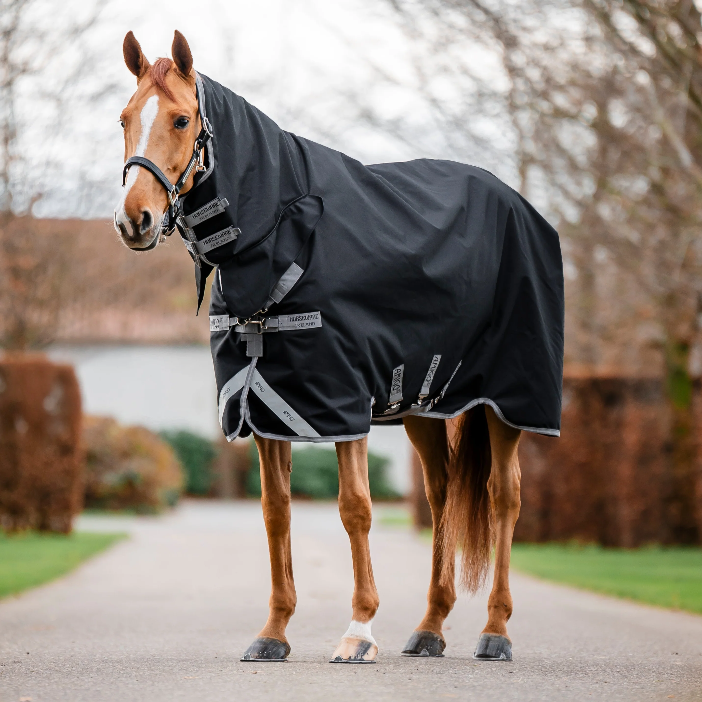 Horseware Ireland Amigo 1200D Integrated 150g Turnout Rug - Image 4