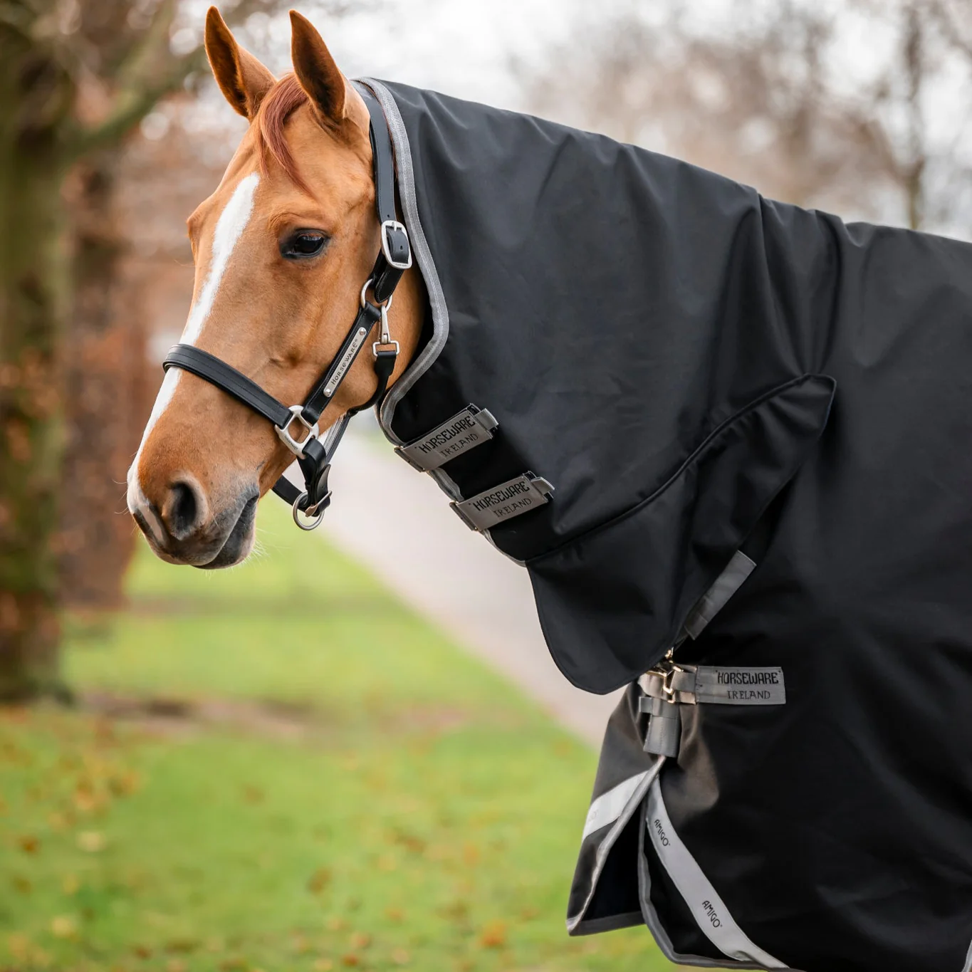 Horseware Ireland Amigo 1200D Integrated 150g Turnout Rug - Image 5