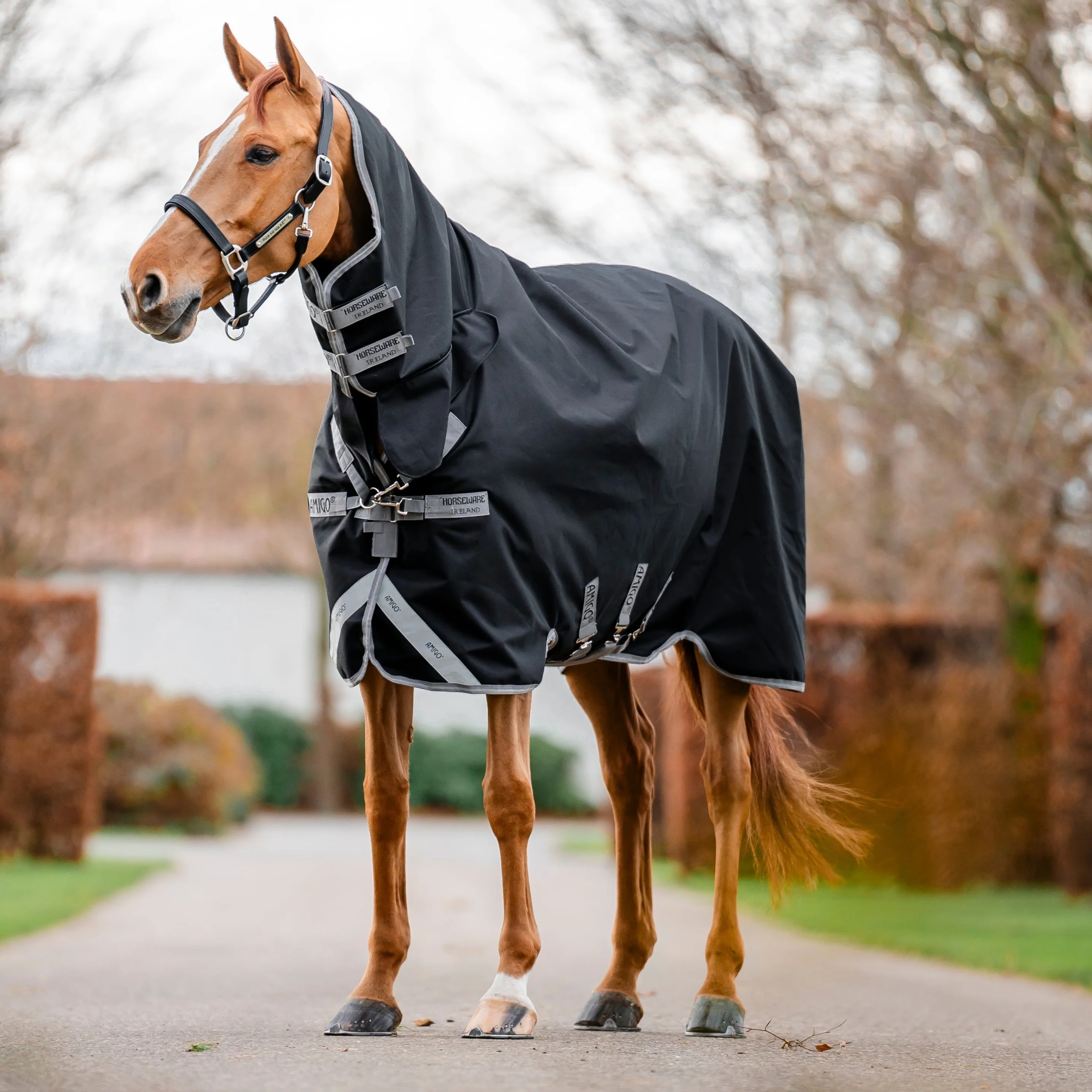 Horseware Ireland Amigo 1200D Integrated 150g Turnout Rug - Image 6