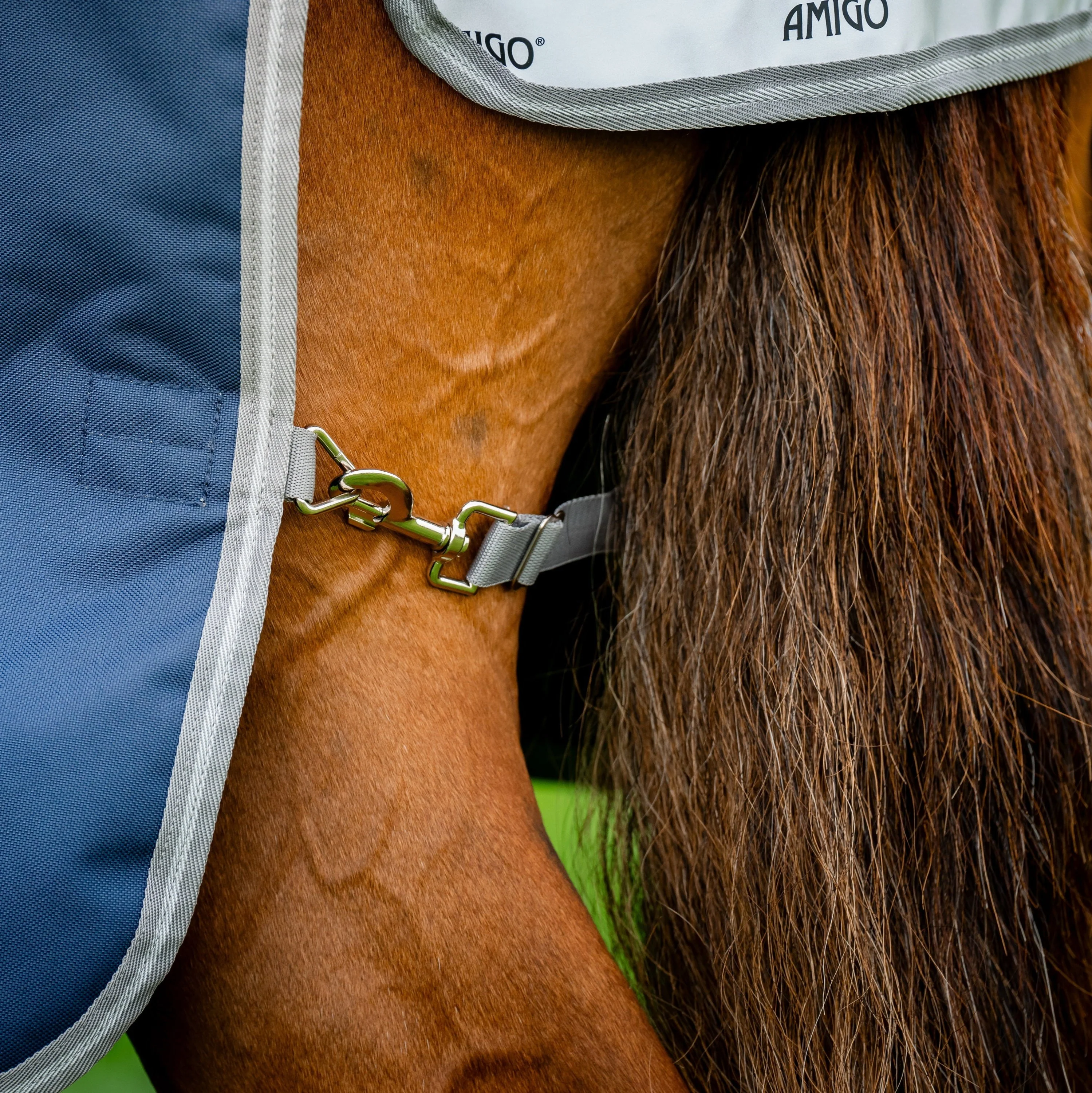 Horseware Ireland Amigo Bravo 12 Plus 100g - Image 7