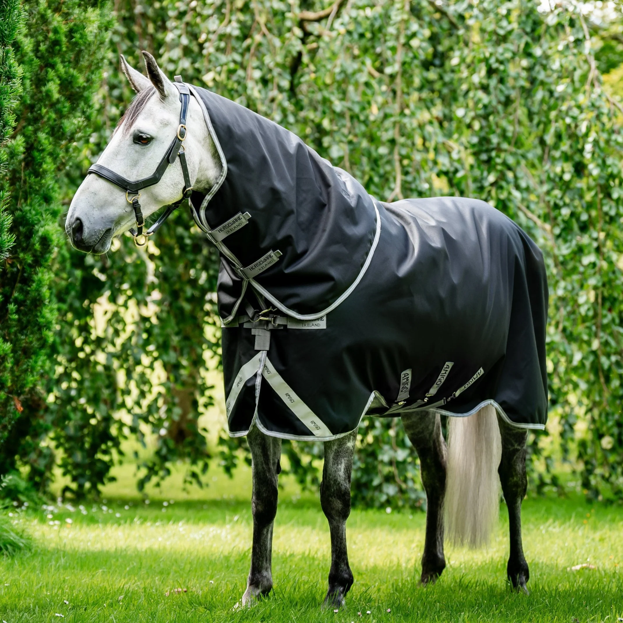 Horseware Ireland Amigo Bravo 12 Plus 100g - Image 9