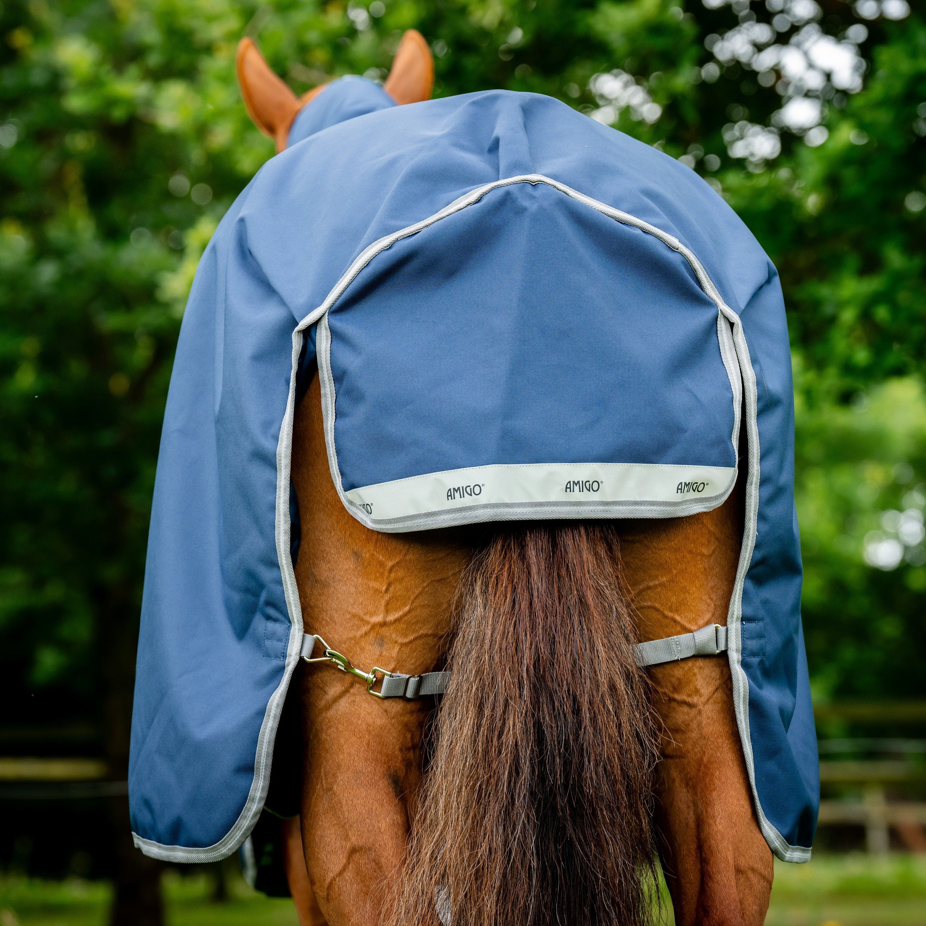 Horseware Ireland Amigo Bravo 12 Plus Bundle V-Front 50g Turnout Rug - Image 24