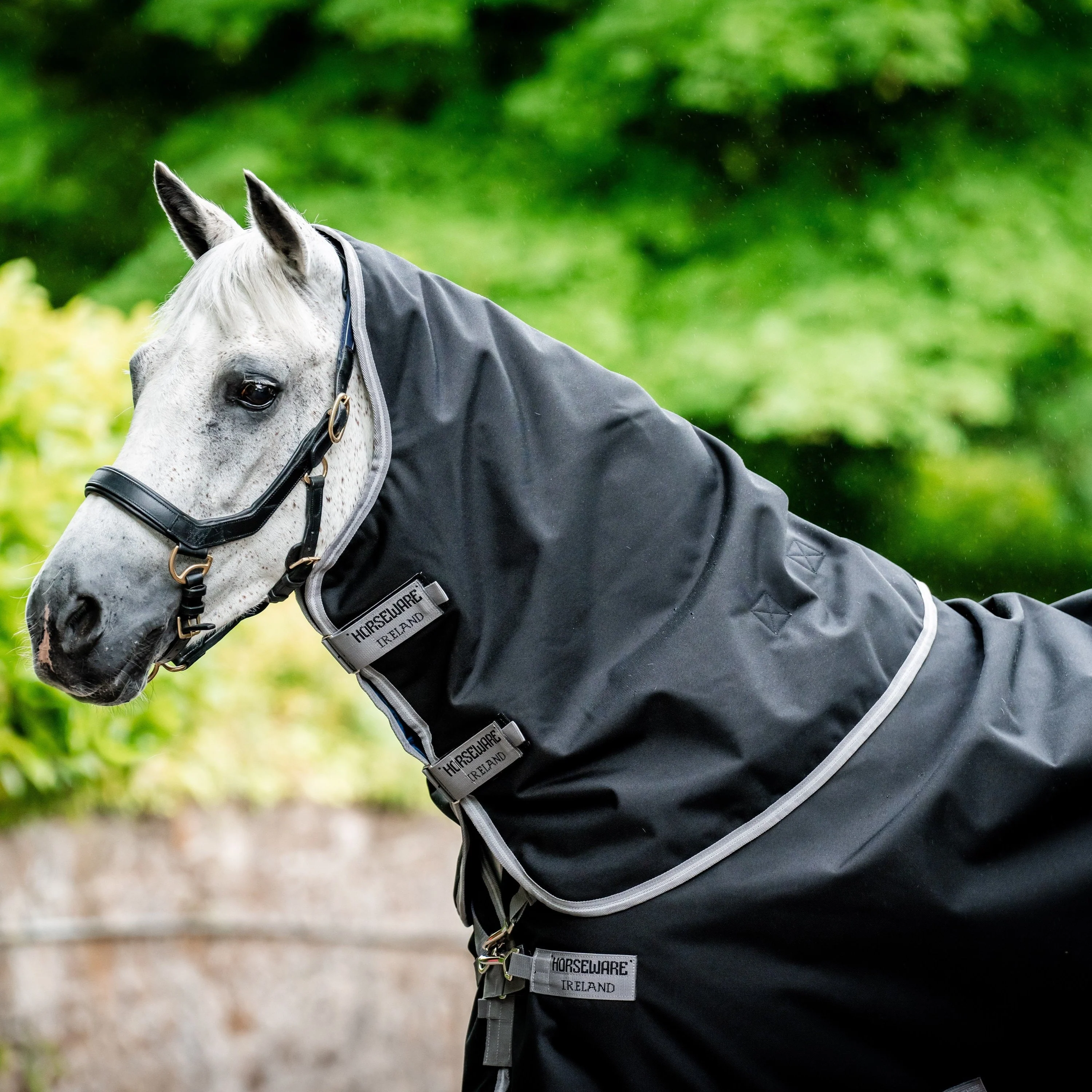 Horseware Ireland Amigo Bravo 12 Plus Bundle V-Front 50g Turnout Rug - Image 28