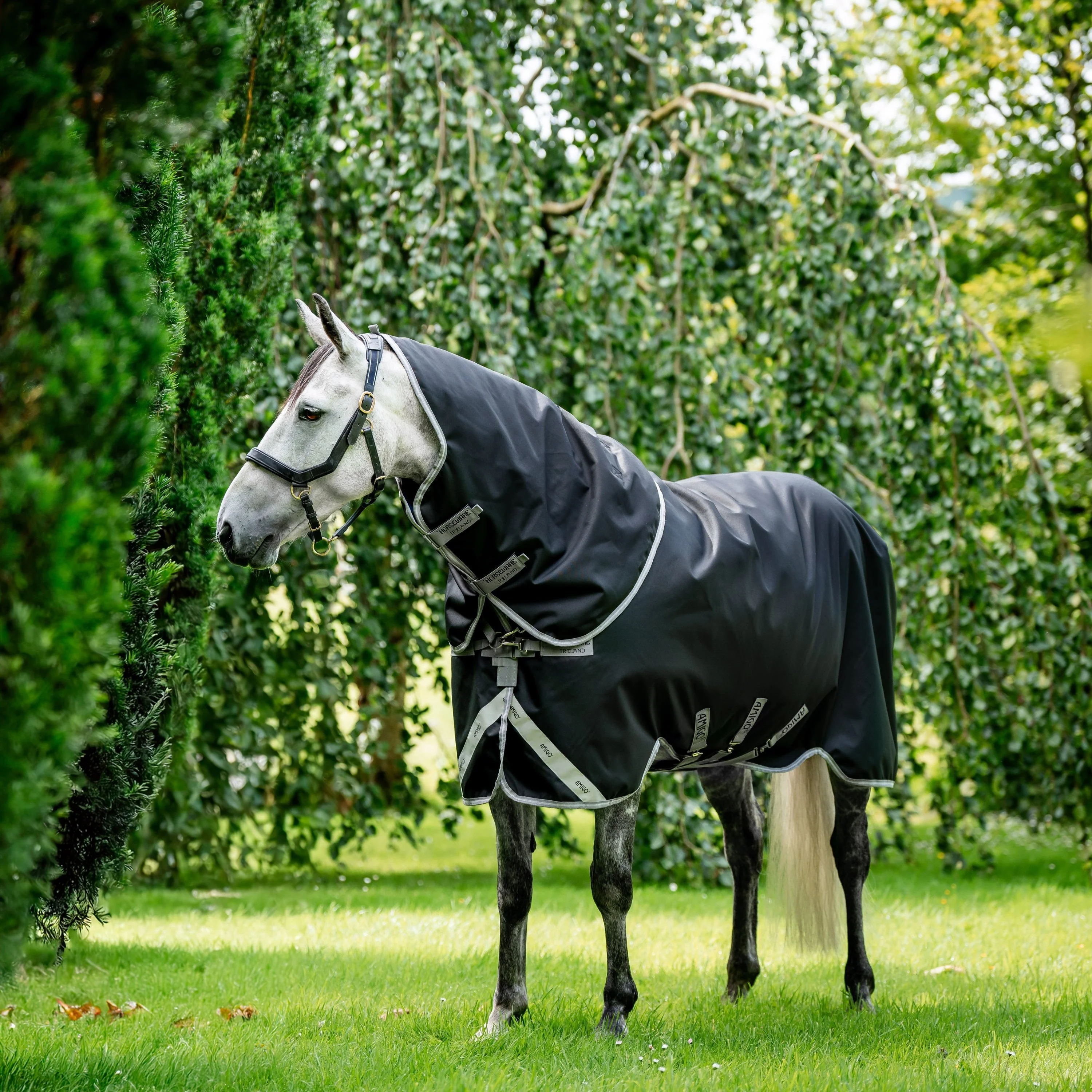 Horseware Ireland Amigo Bravo 12 Plus 400g Heavy Turnout Rug - Image 26