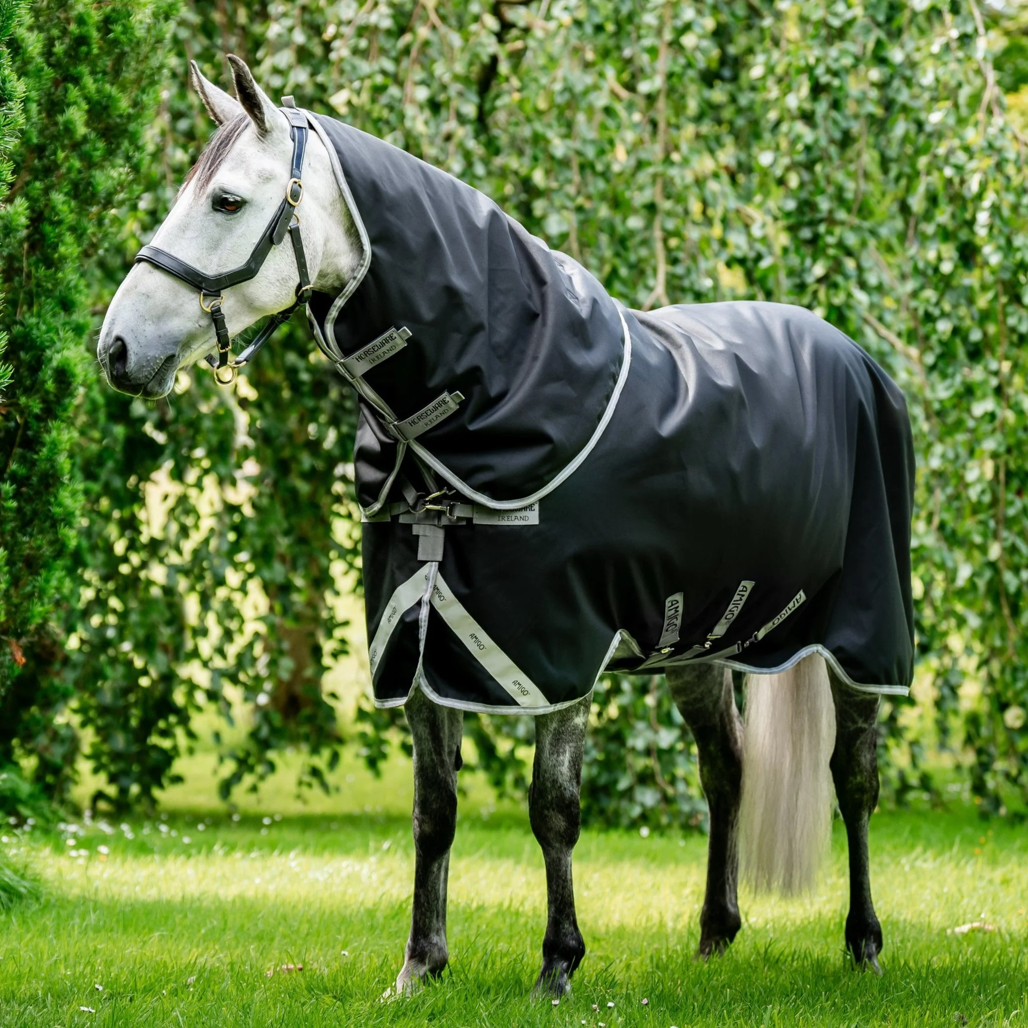 Horseware Ireland Amigo Bravo 12 Plus 0g Lite Turnout Rug