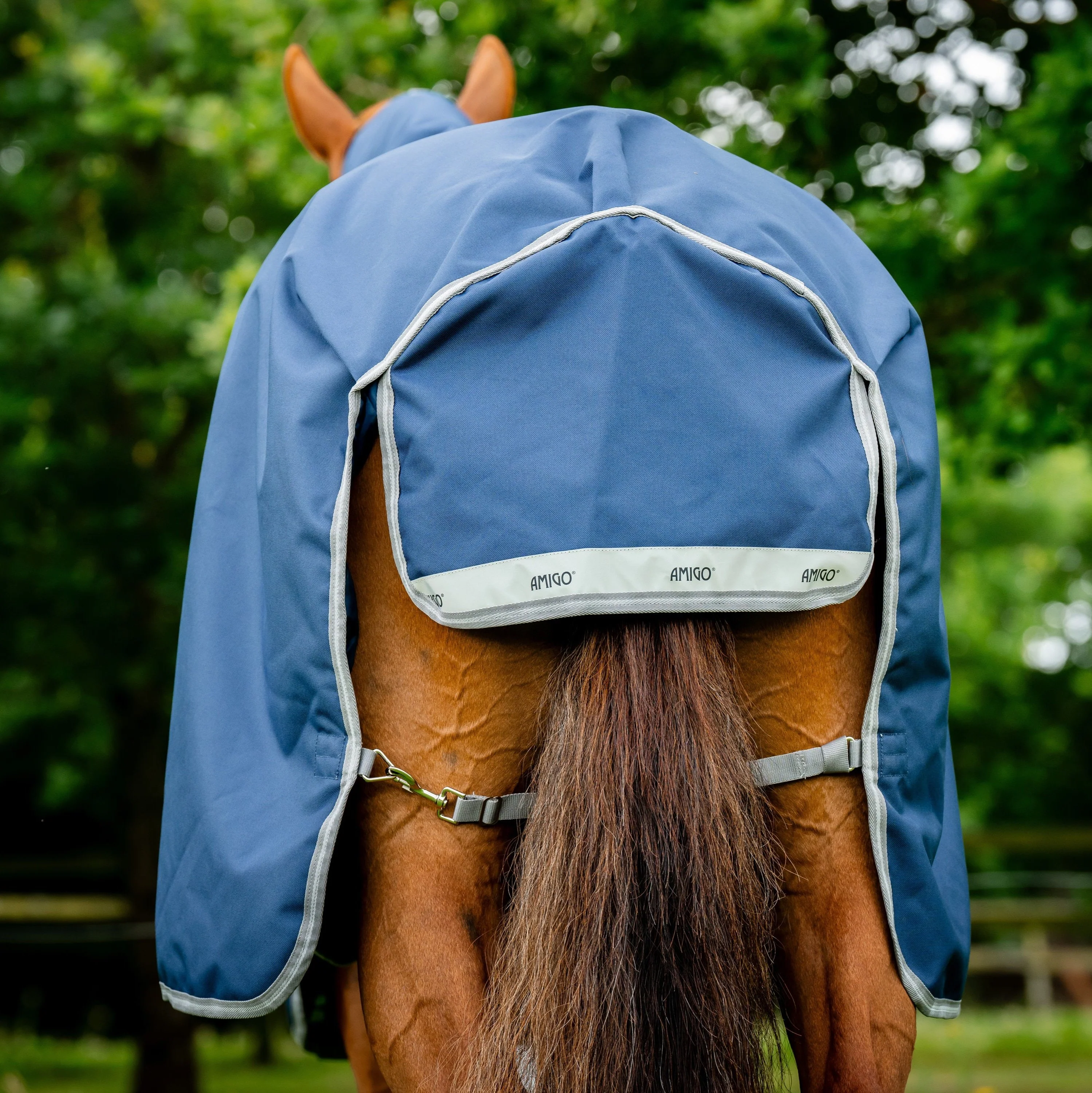 Horseware Ireland Amigo Bravo 12 Plus 0g Lite Turnout Rug - Image 30