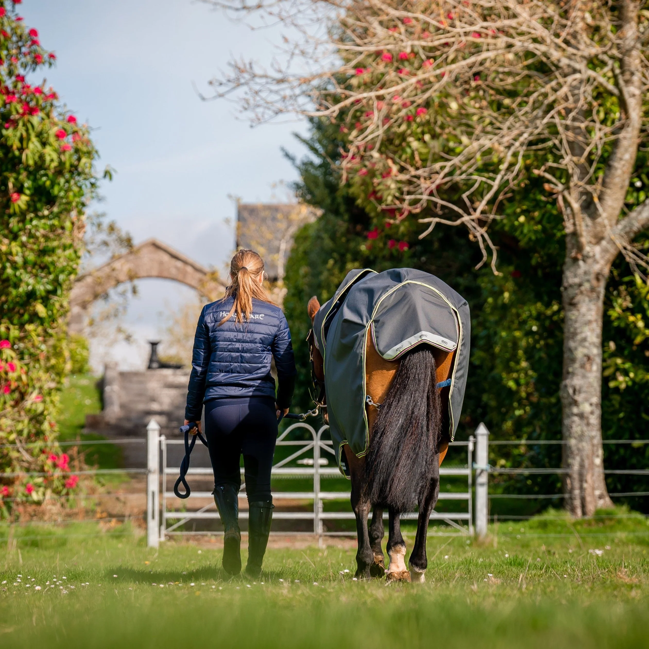 Horseware Ireland Amigo Bravo 12 Plus 0g Lite Turnout Rug - Image 36