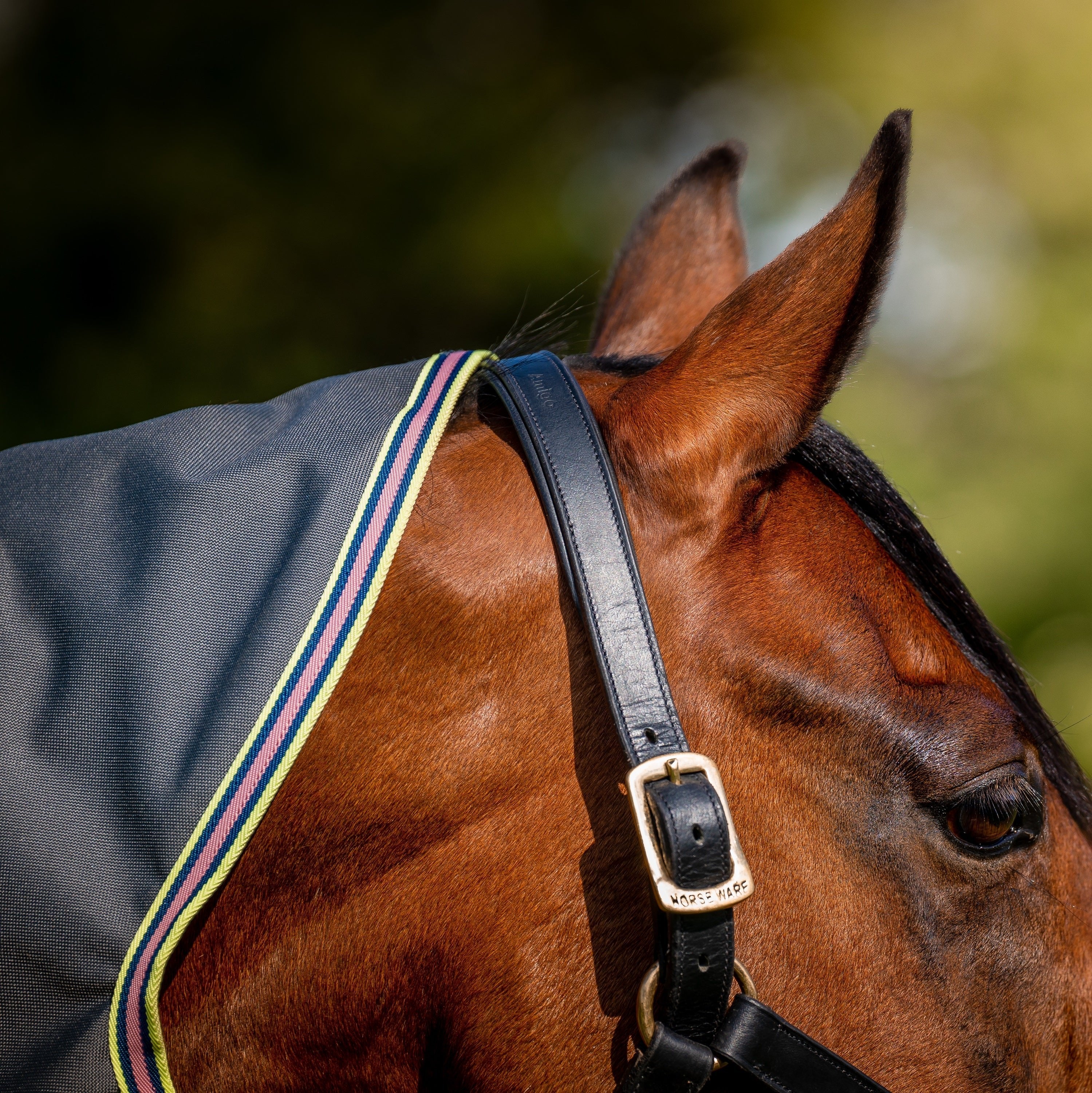 Horseware Ireland Amigo Bravo 12 Plus 0g Lite Turnout Rug - Image 9