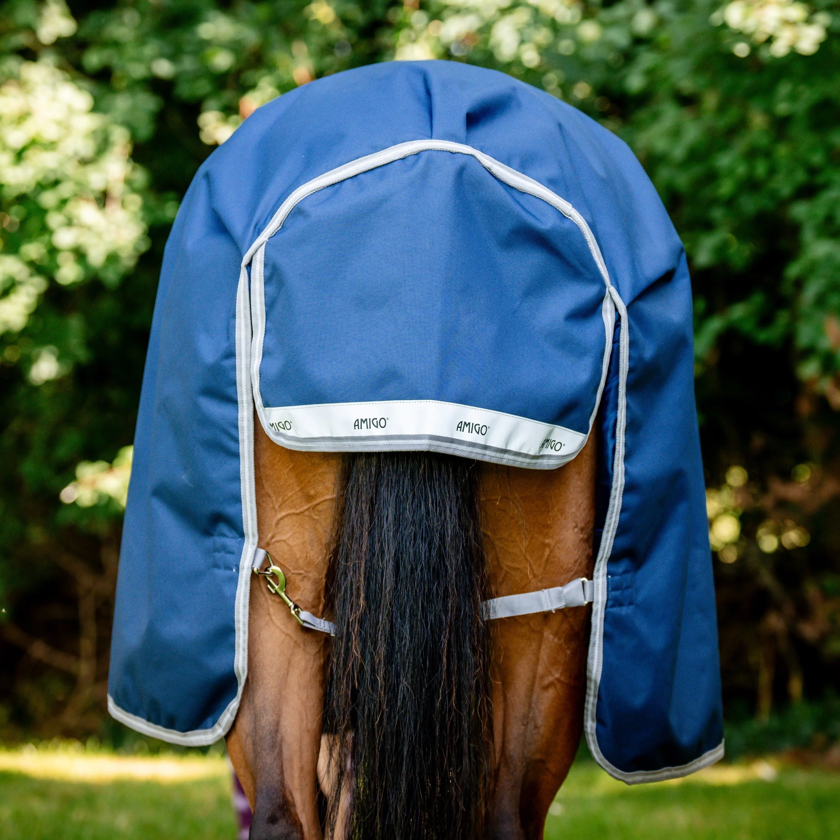 Horseware Ireland Amigo Bravo 12 Wug 0g Lite Turnout Rug - Image 23