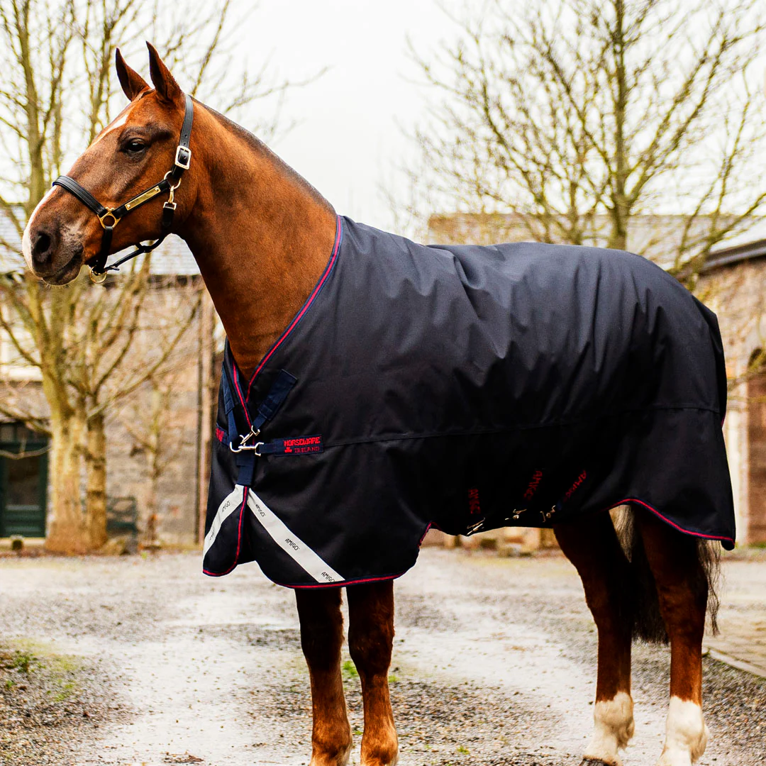 Horseware Ireland Amigo Bravo 12 XL 0g Lite Turnout Rug