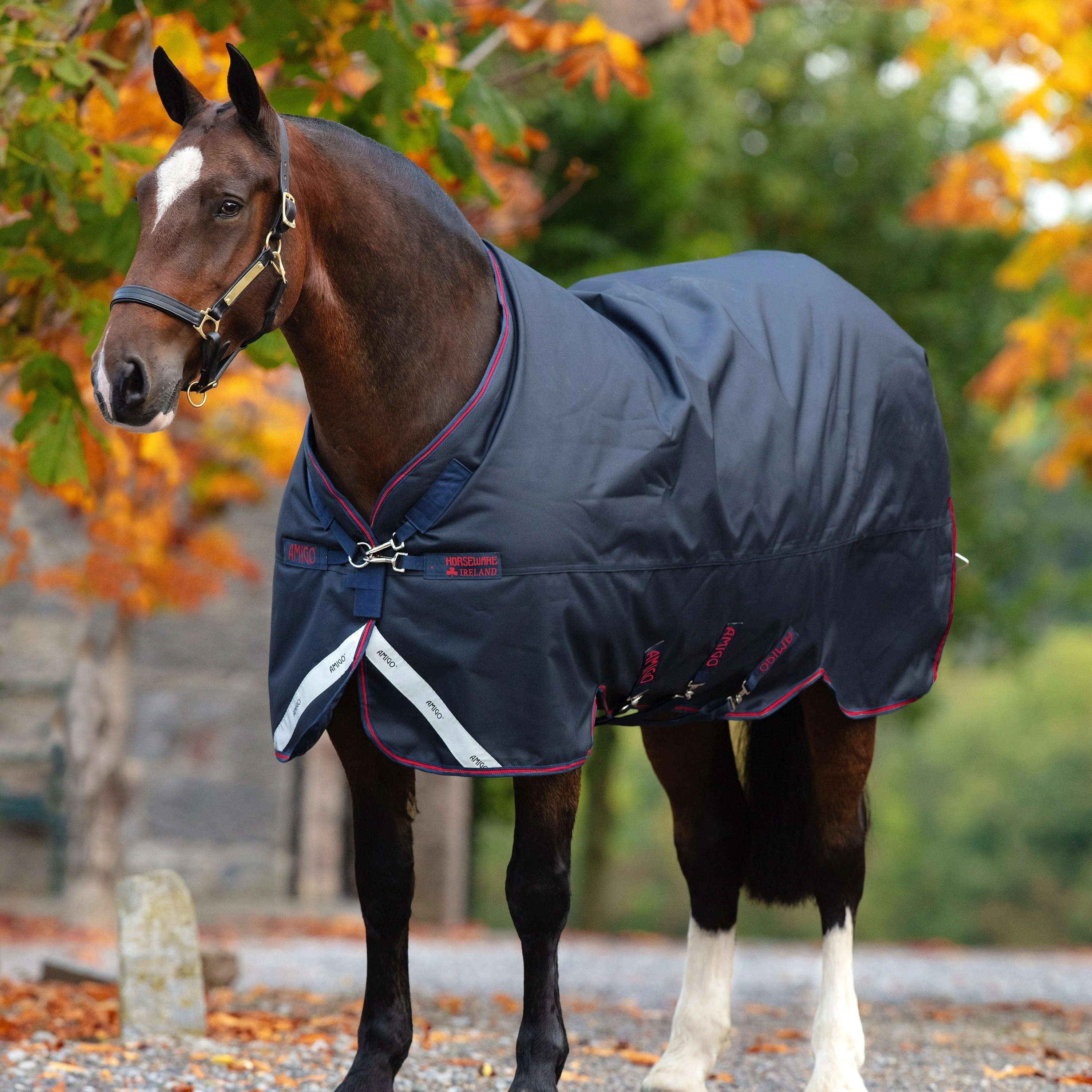 Horseware Ireland Amigo Bravo 12 XL 0g Lite Turnout Rug - Image 3