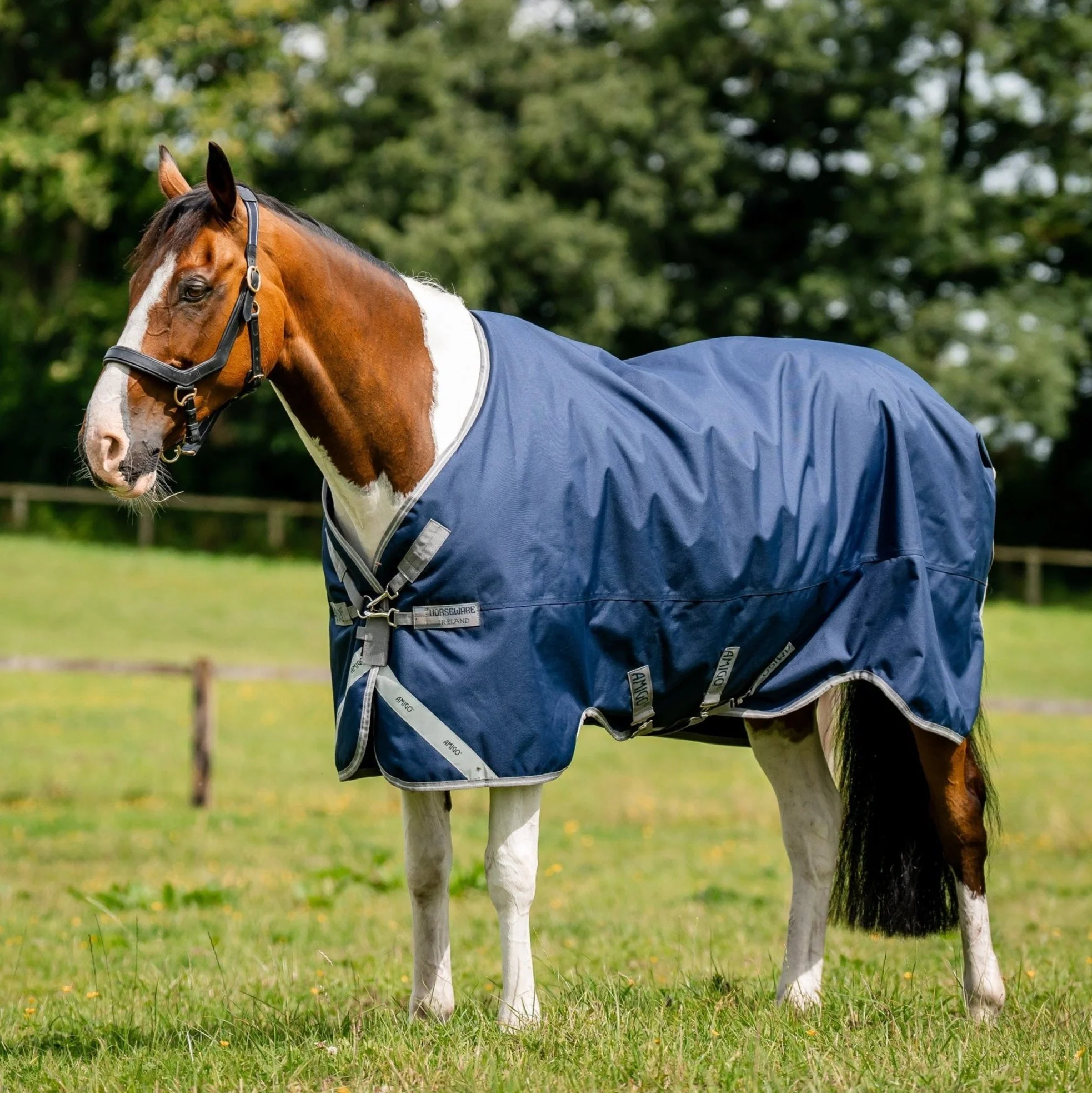 Horseware Ireland Amigo Bravo 12 XL 0g Lite Turnout Rug - Image 4