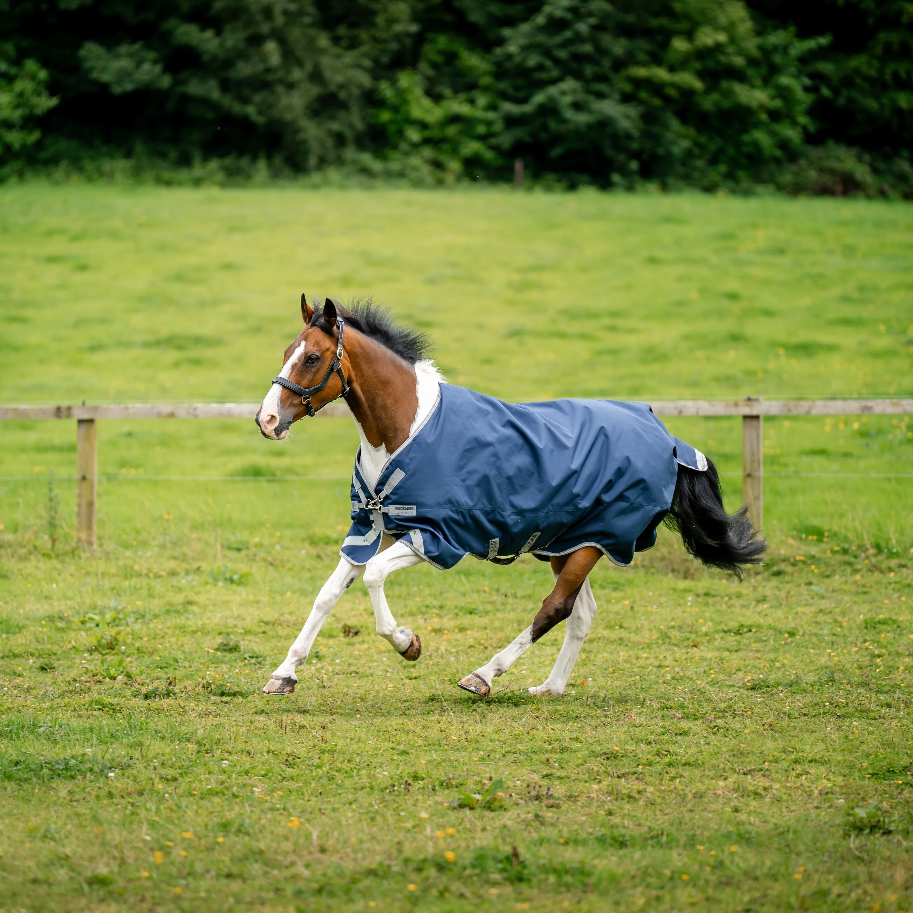 Horseware Ireland Amigo Bravo 12 XL 0g Lite Turnout Rug - Image 5
