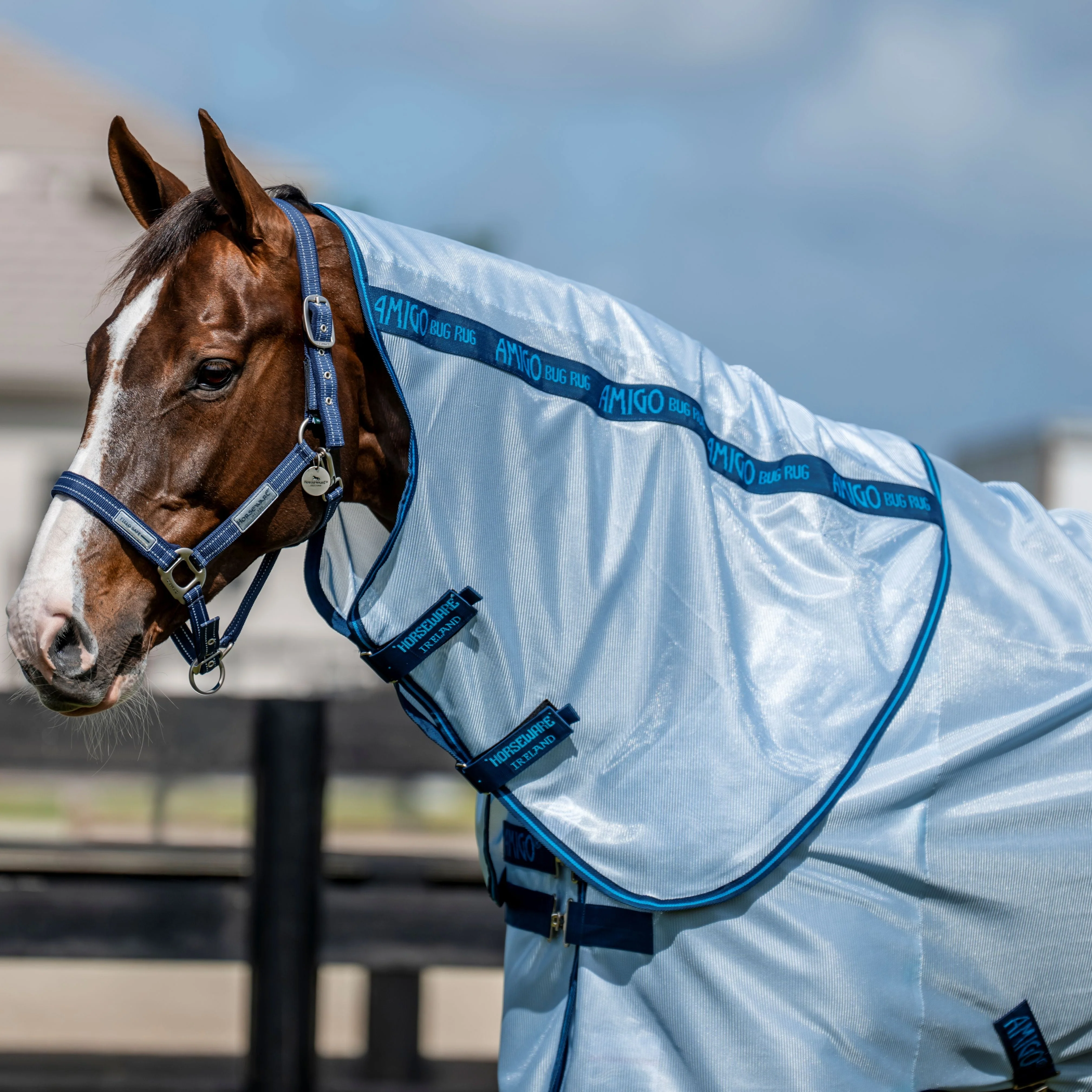 Horseware Ireland Amigo Bug Rug Hood