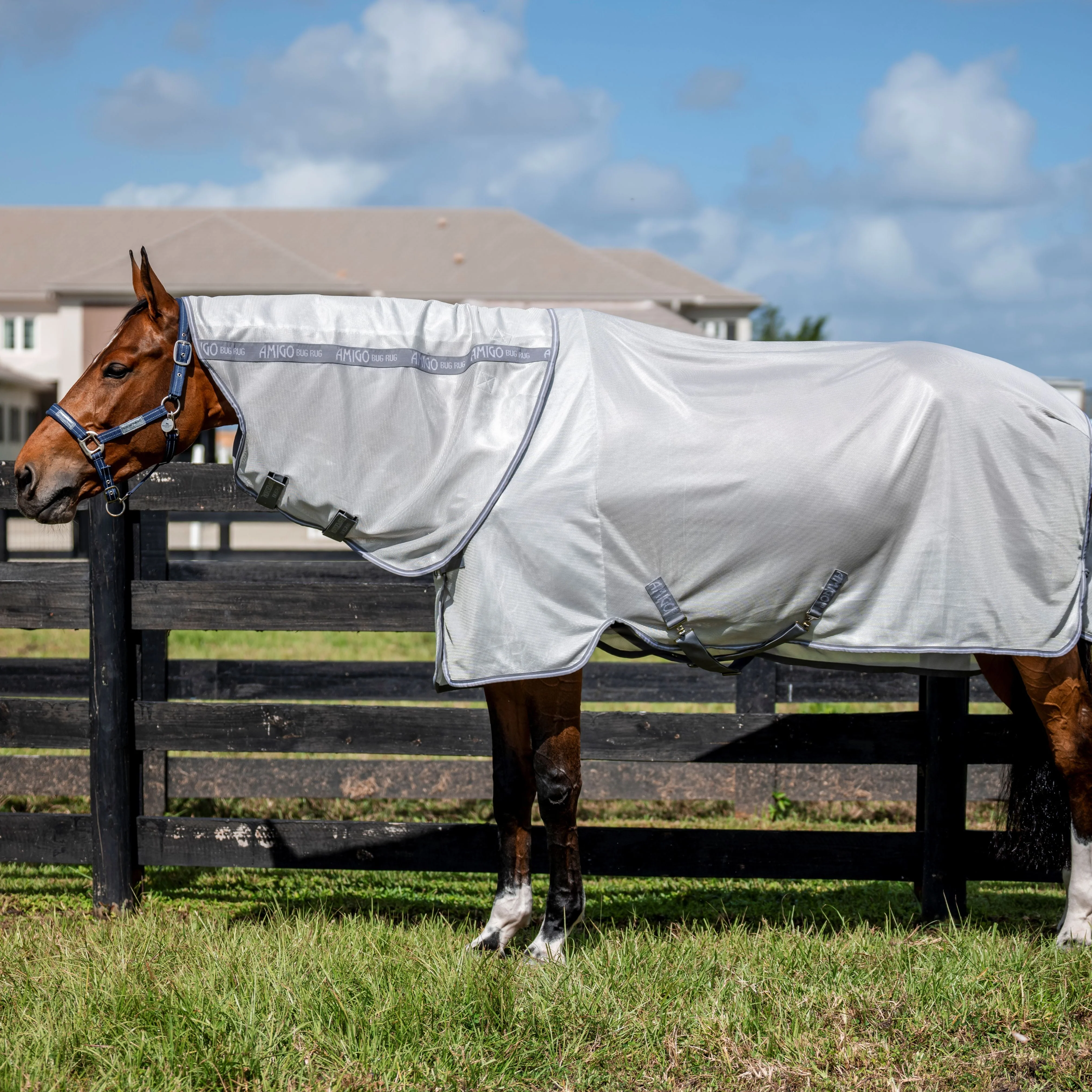 Horseware Ireland Amigo Bug Rug XL Plus - Image 13