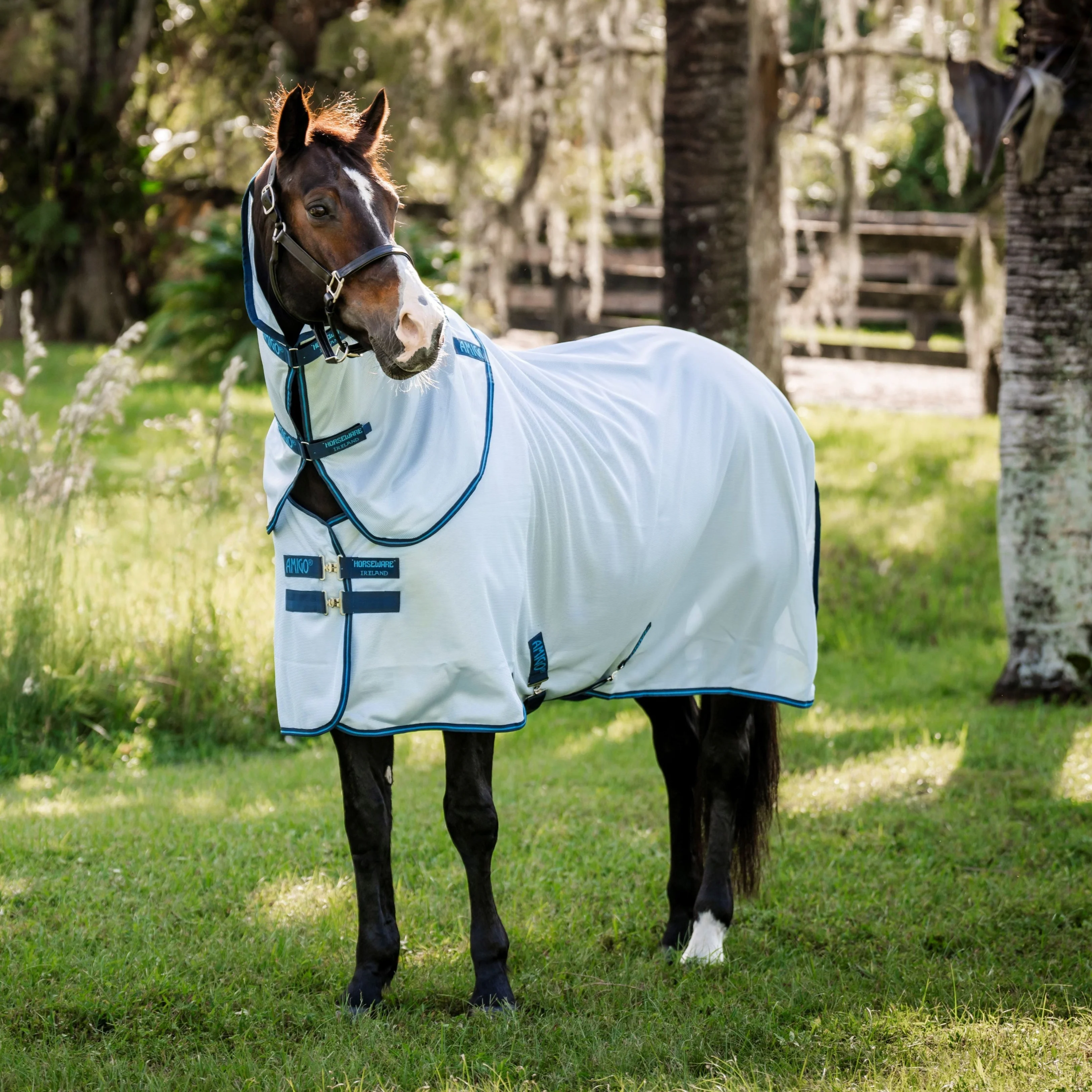 Horseware Ireland Amigo Bug Rug XL Plus - Image 7
