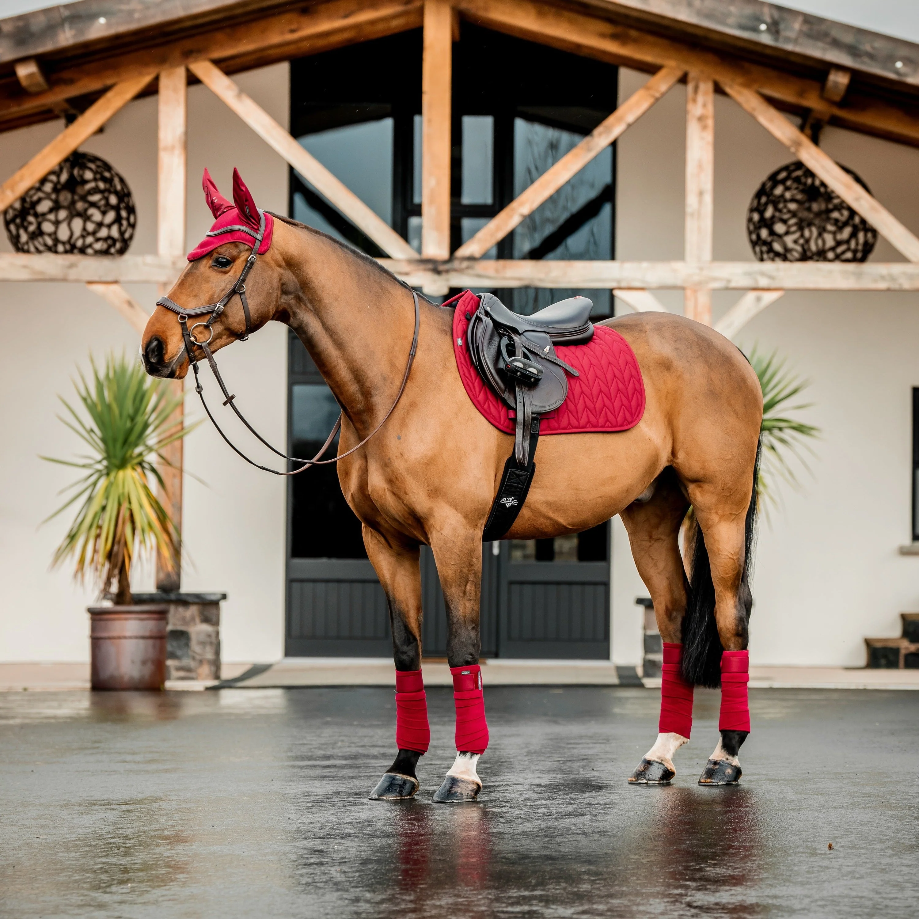 Horseware Ireland Amigo Ear Net - Image 15