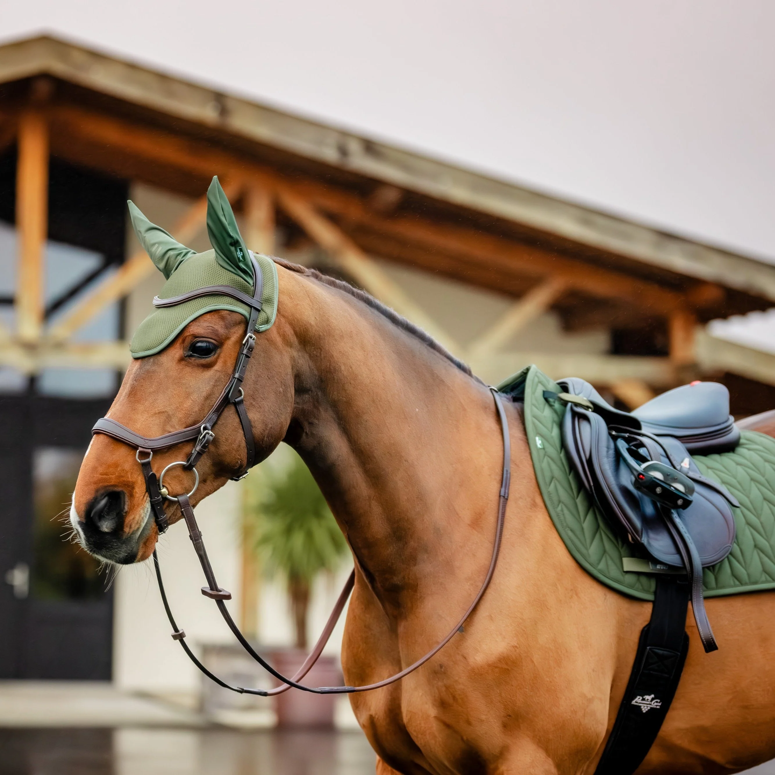 Horseware Ireland Amigo Ear Net - Image 7