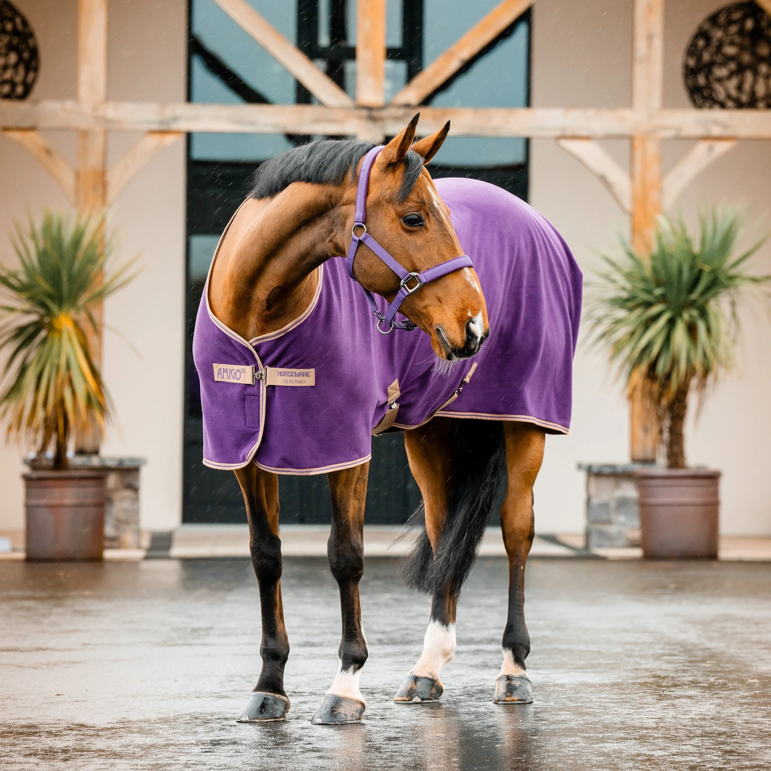 Horseware Ireland Amigo Fleece Cooler - Image 12