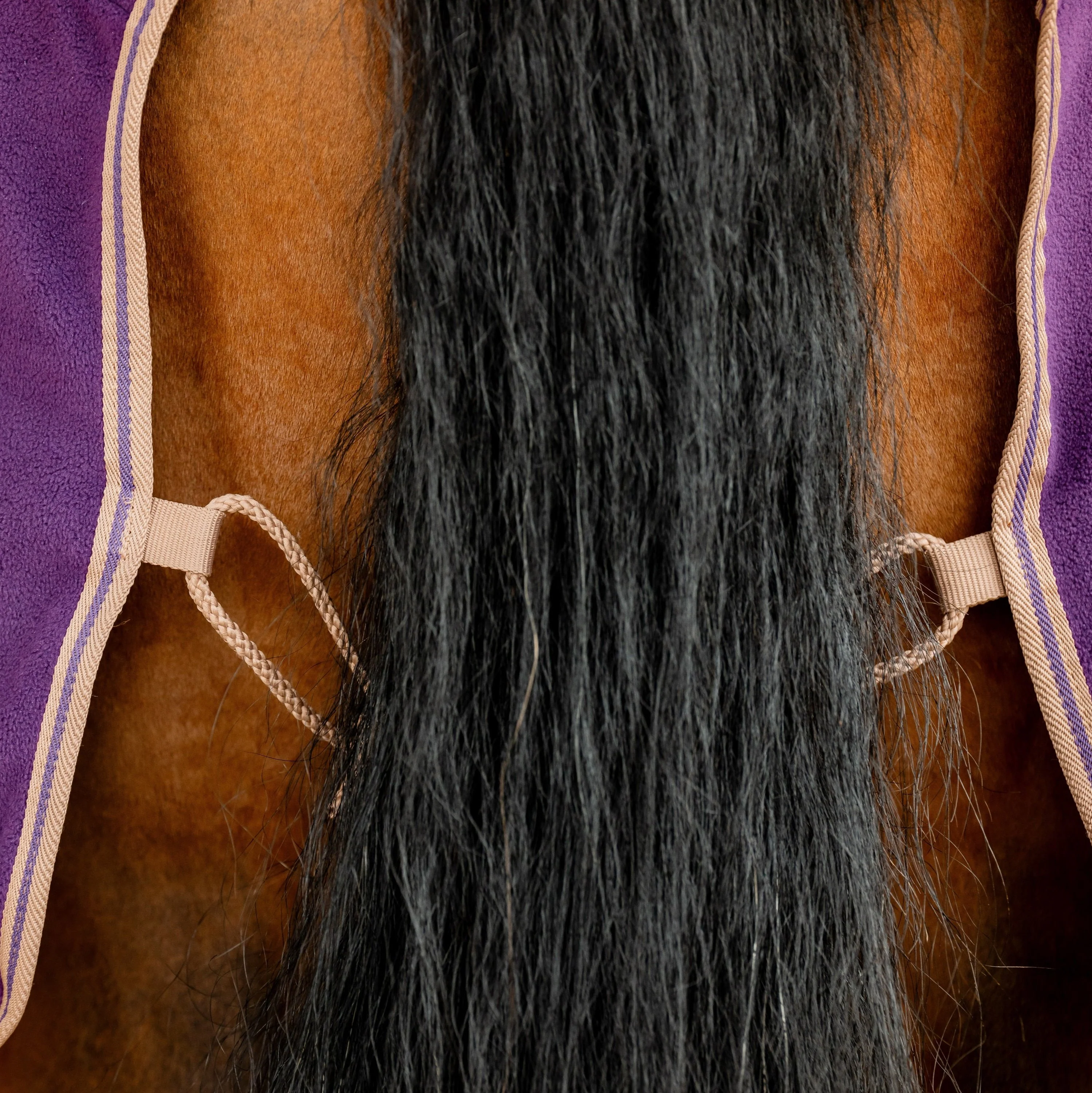 Horseware Ireland Amigo Fleece Cooler - Image 21
