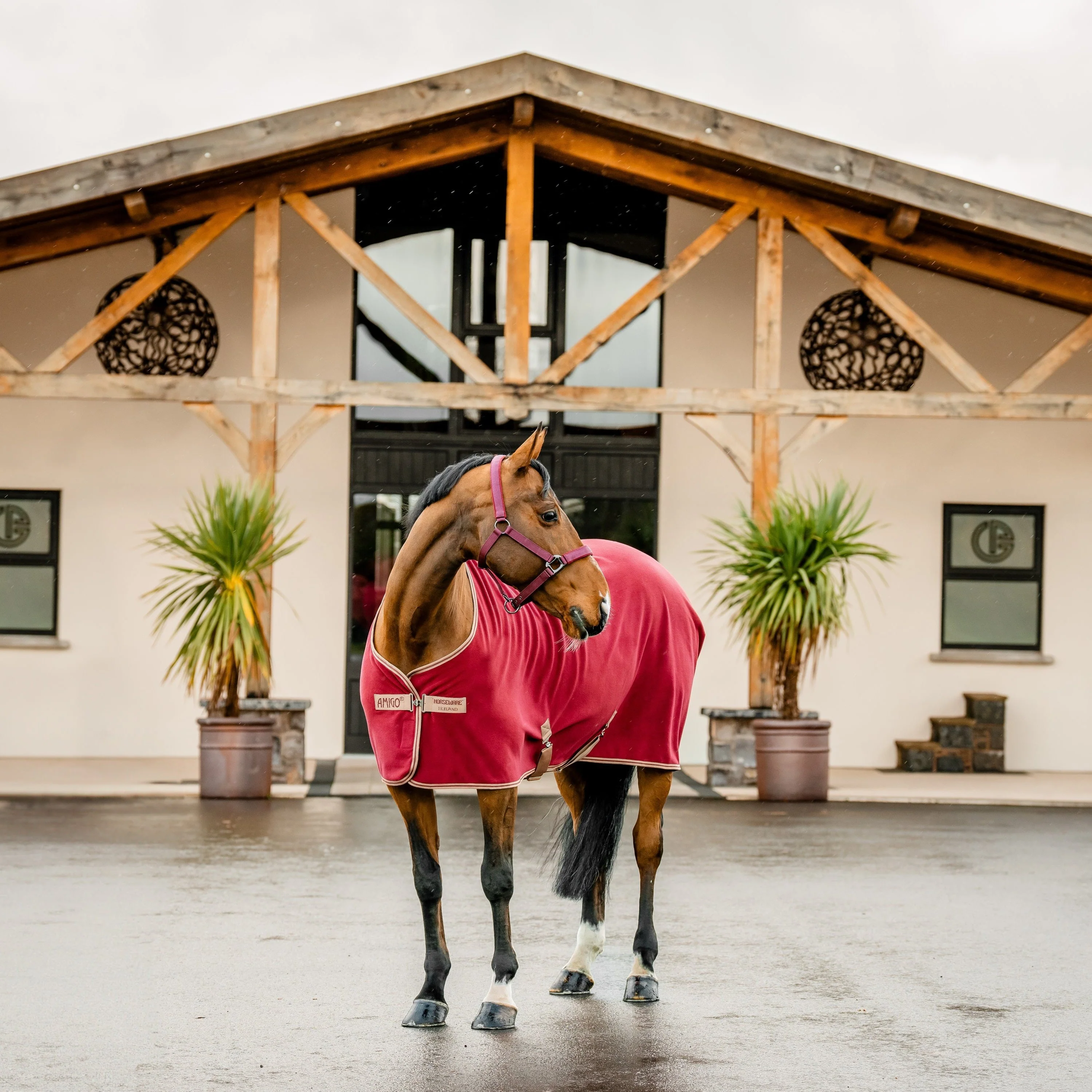 Horseware Ireland Amigo Fleece Cooler - Image 26