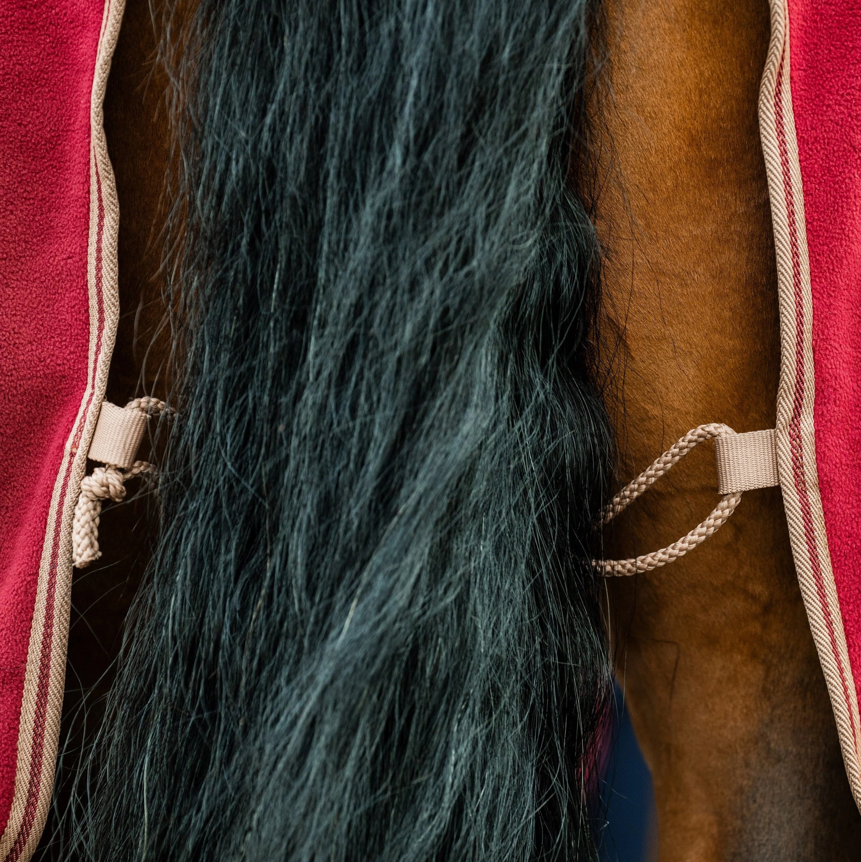 Horseware Ireland Amigo Fleece Cooler - Image 34