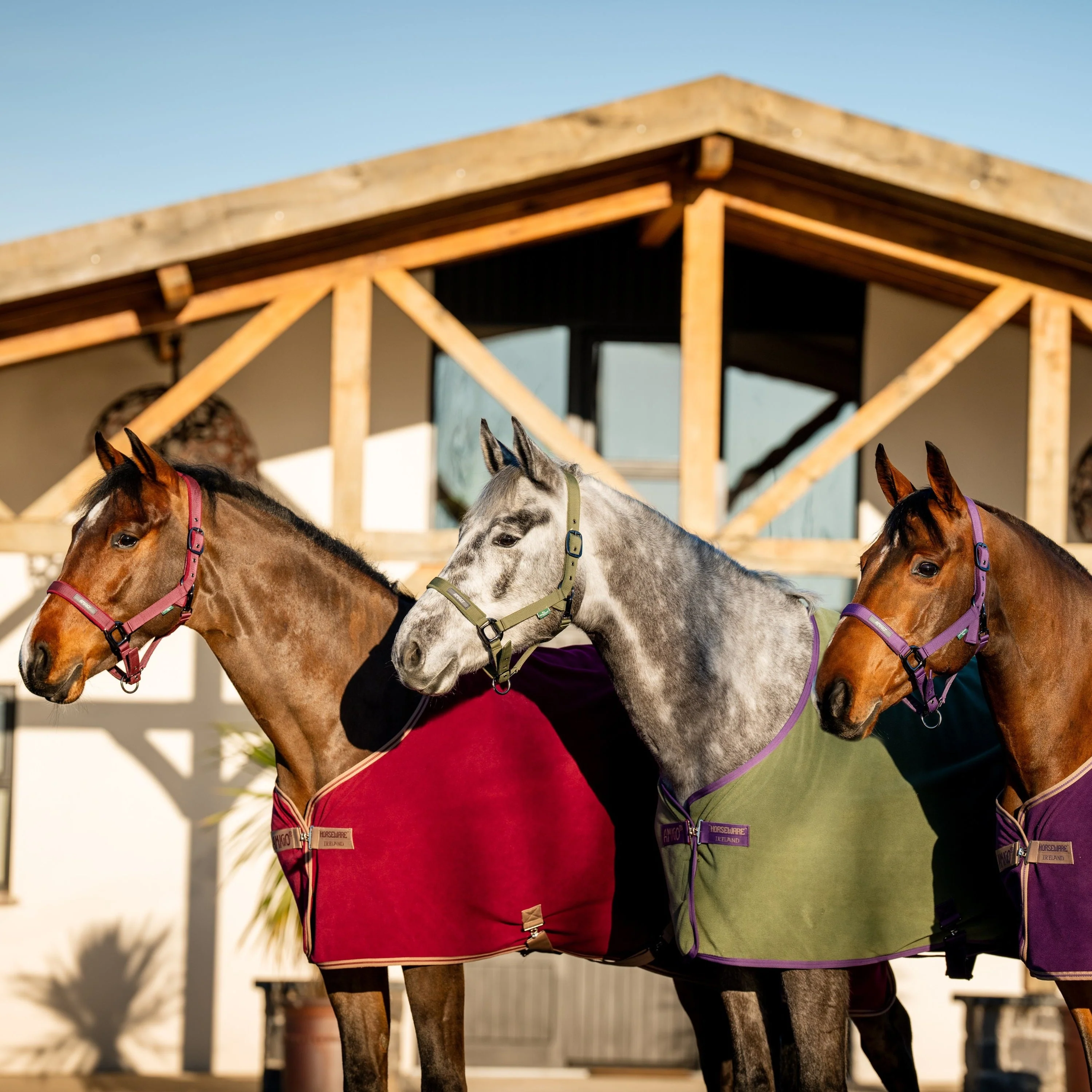 Horseware Ireland Amigo Fleece Cooler - Image 37