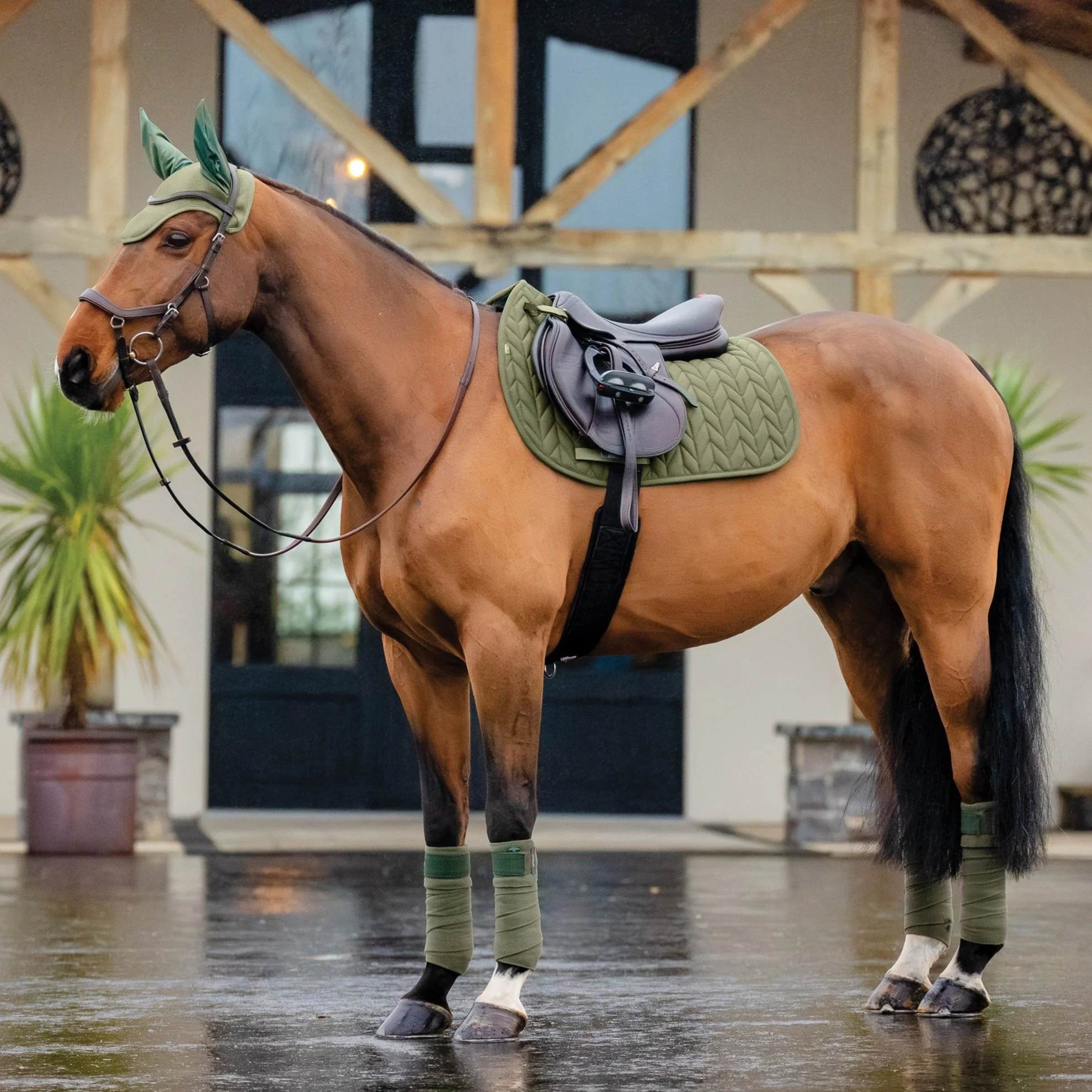Horseware Ireland Amigo GP Saddle Pad - Image 11