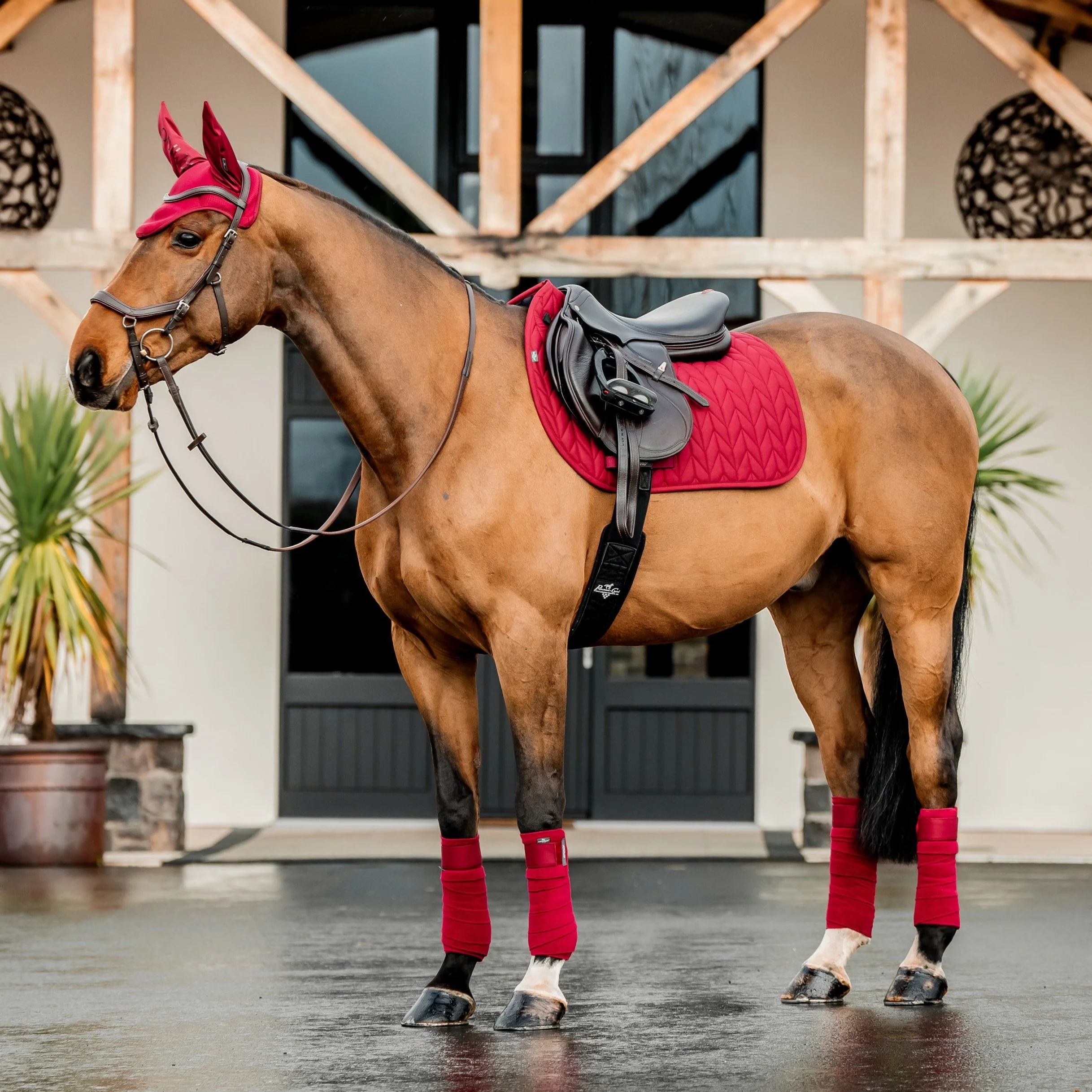 Horseware Ireland Amigo GP Saddle Pad - Image 16