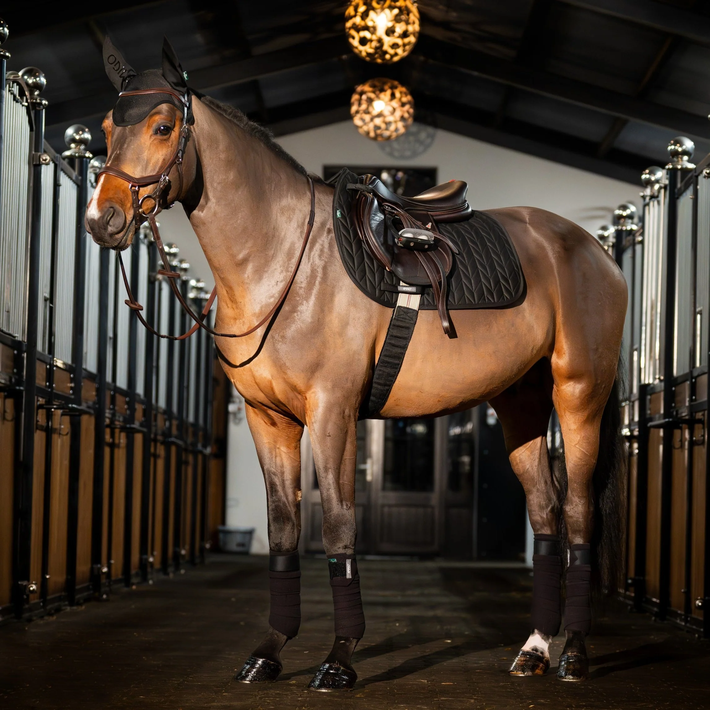Horseware Ireland Amigo GP Saddle Pad - Image 2
