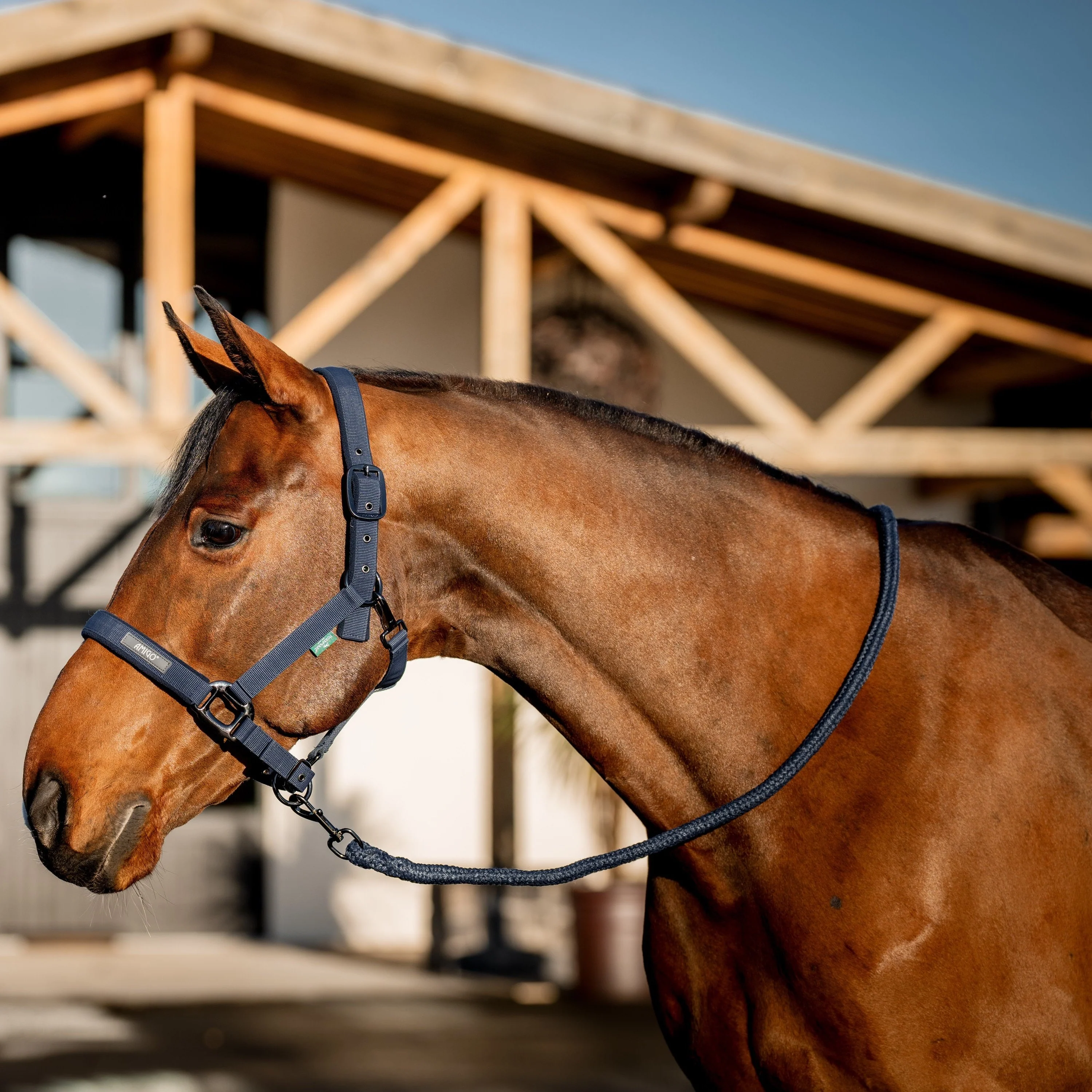Horseware Ireland Amigo Headcollar & Leadrope Set - Image 2