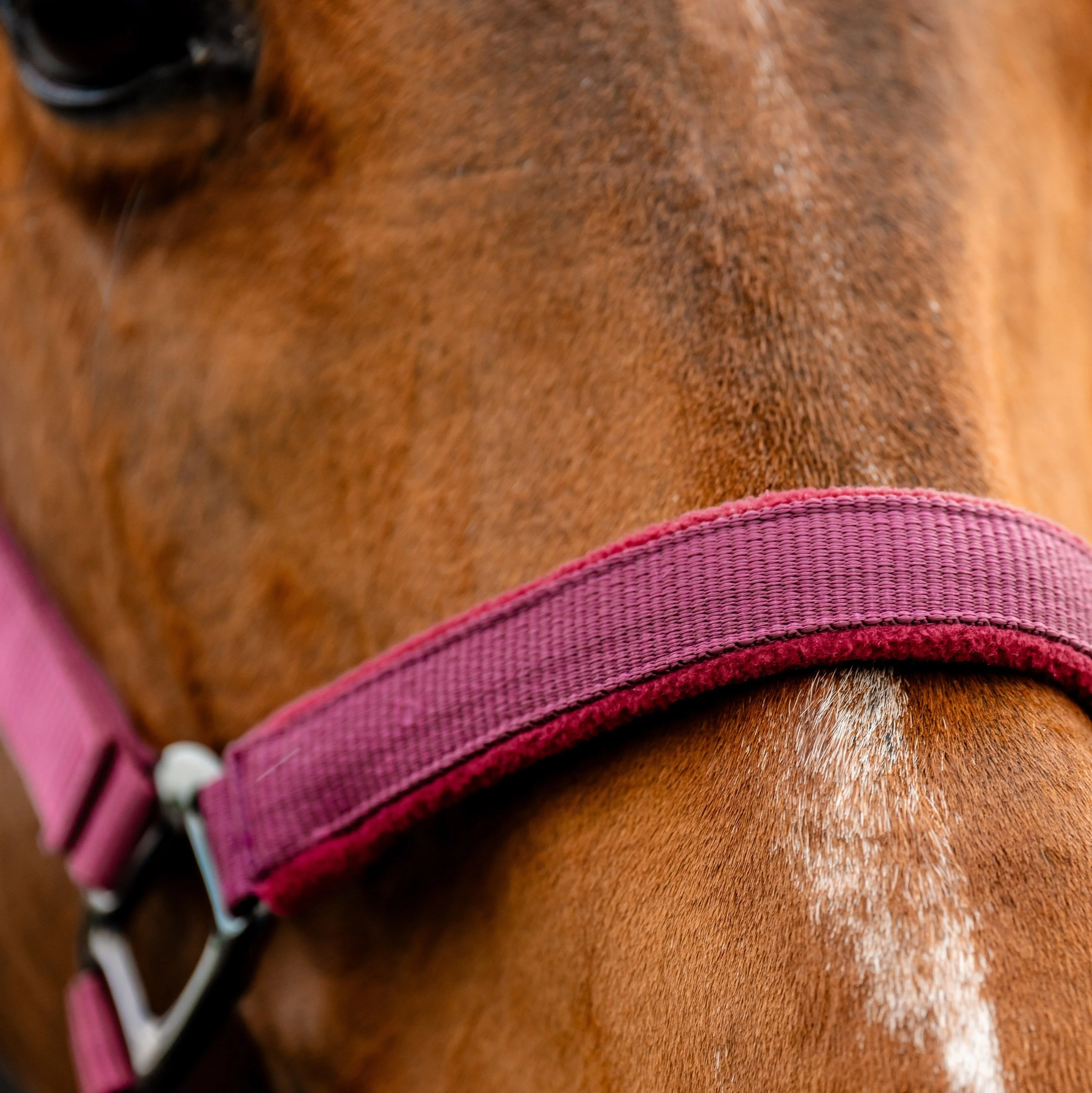 Horseware Ireland Amigo Headcollar & Leadrope Set - Image 22