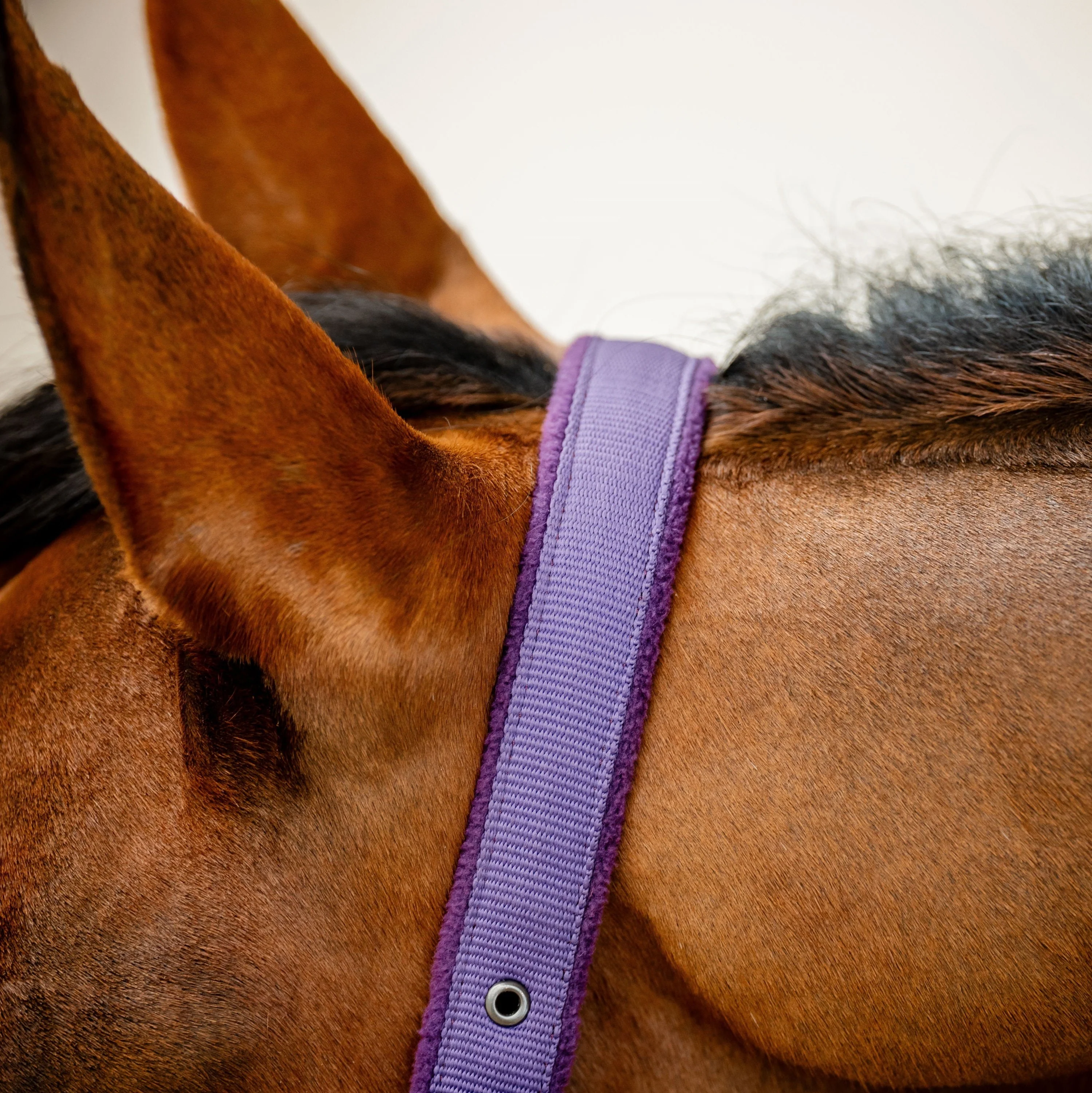 Horseware Ireland Amigo Headcollar & Leadrope Set - Image 41