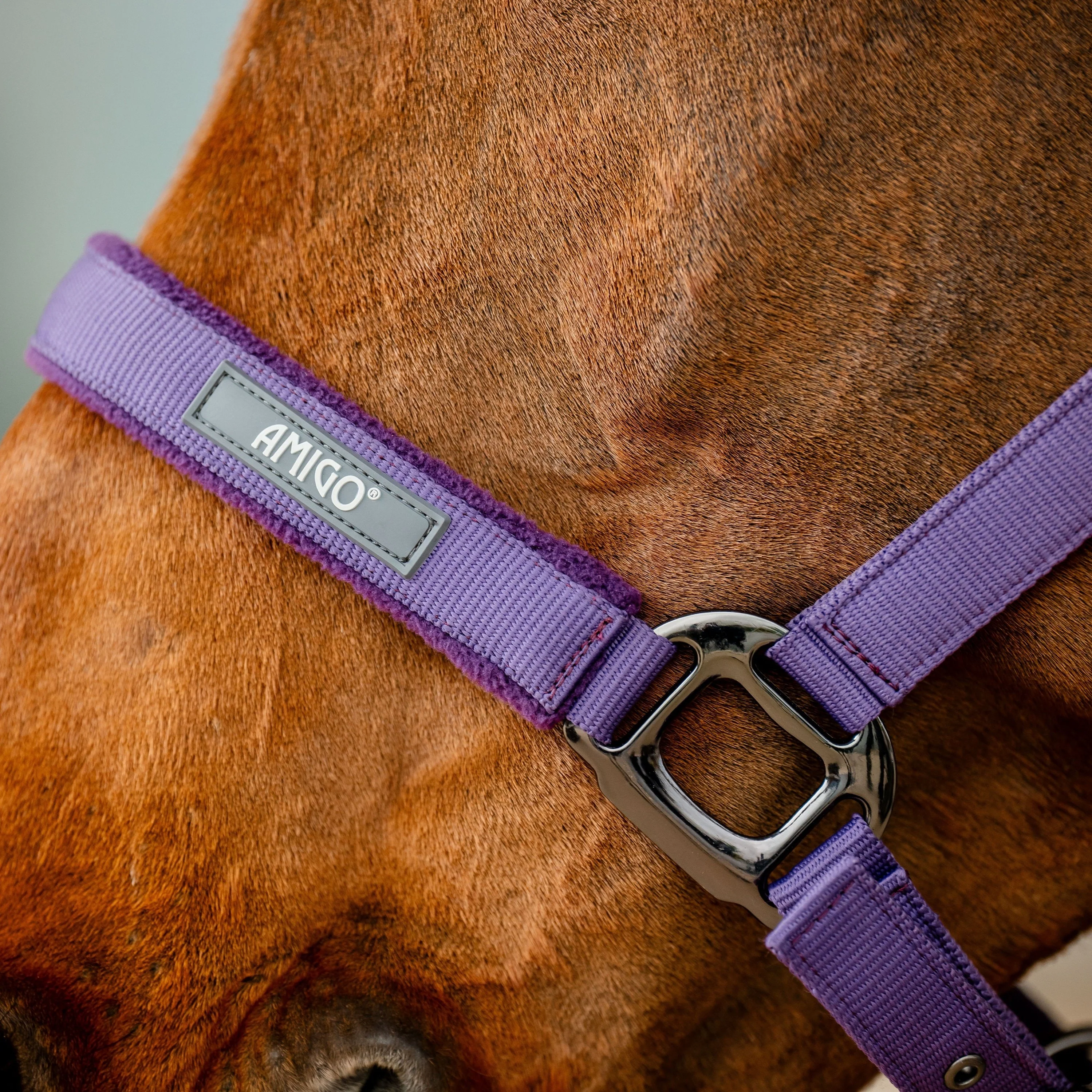 Horseware Ireland Amigo Headcollar & Leadrope Set - Image 45