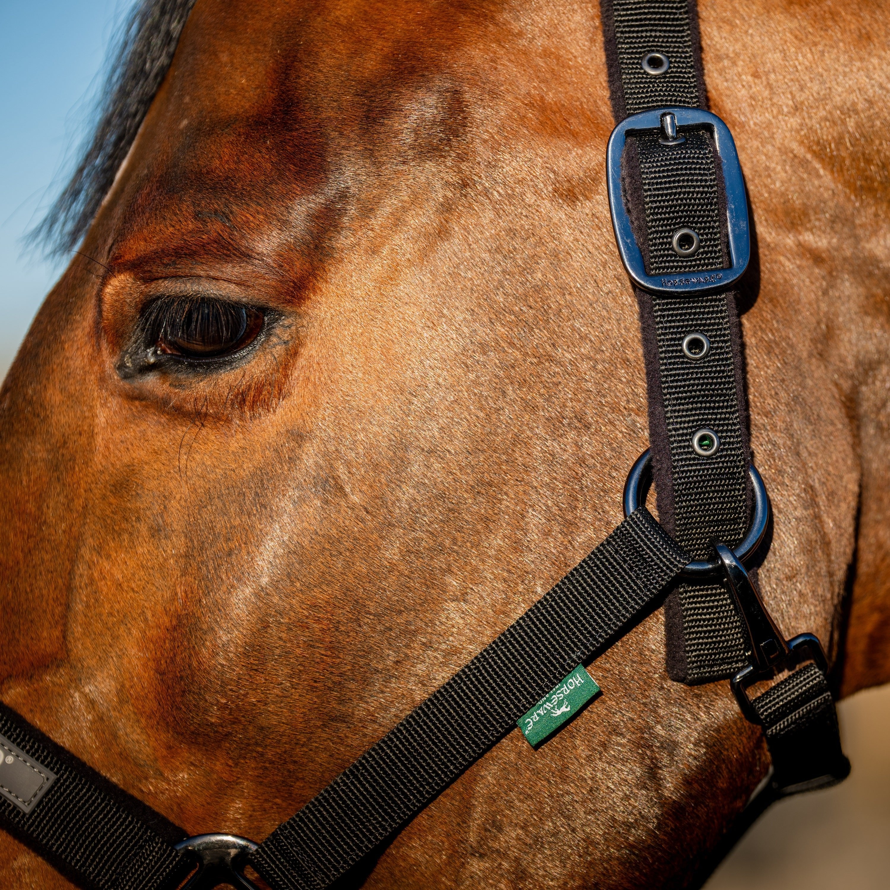 Horseware Ireland Amigo Headcollar & Leadrope Set - Image 6