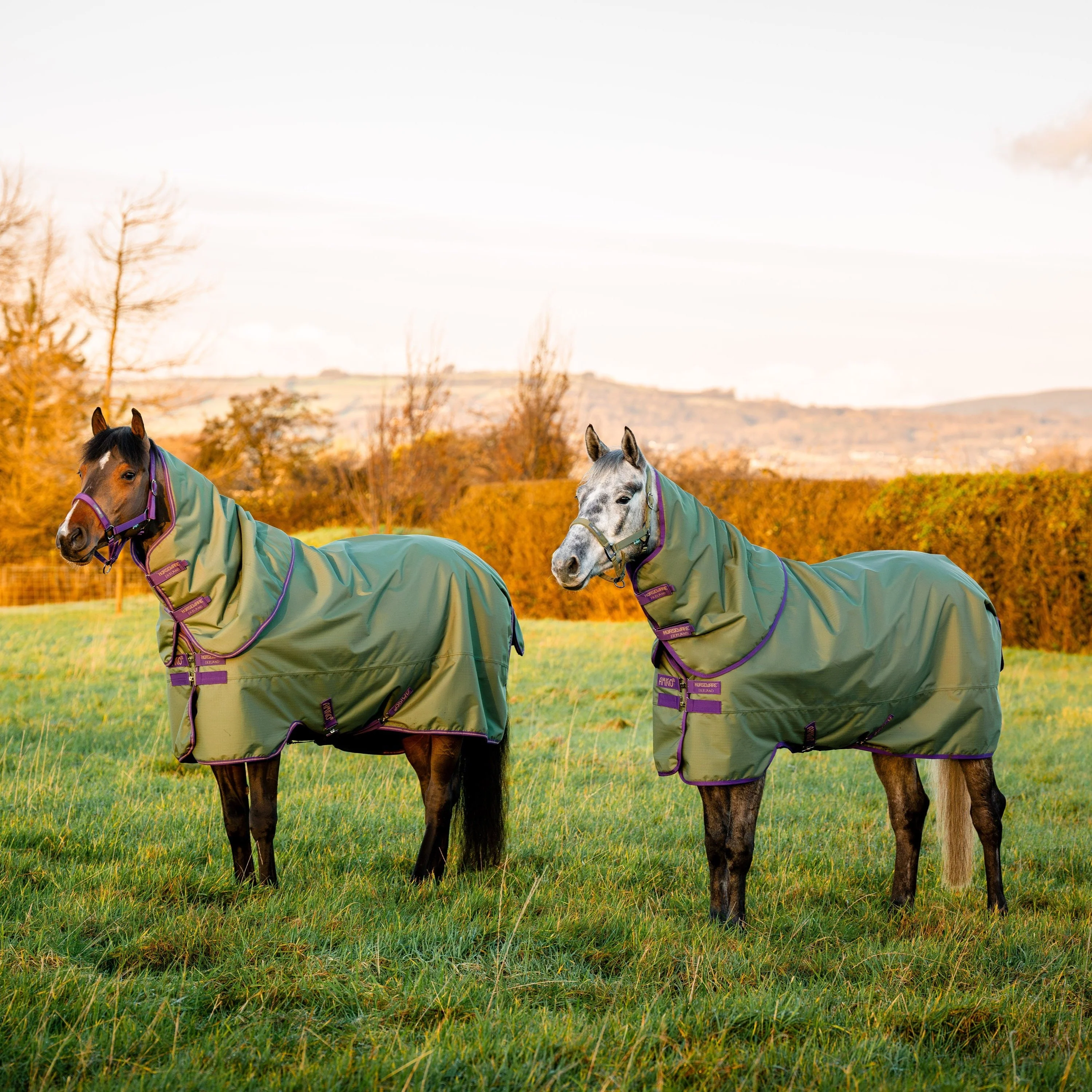 Horseware Ireland Amigo Hero 600D With Ripstop Plus 200g - Image 18
