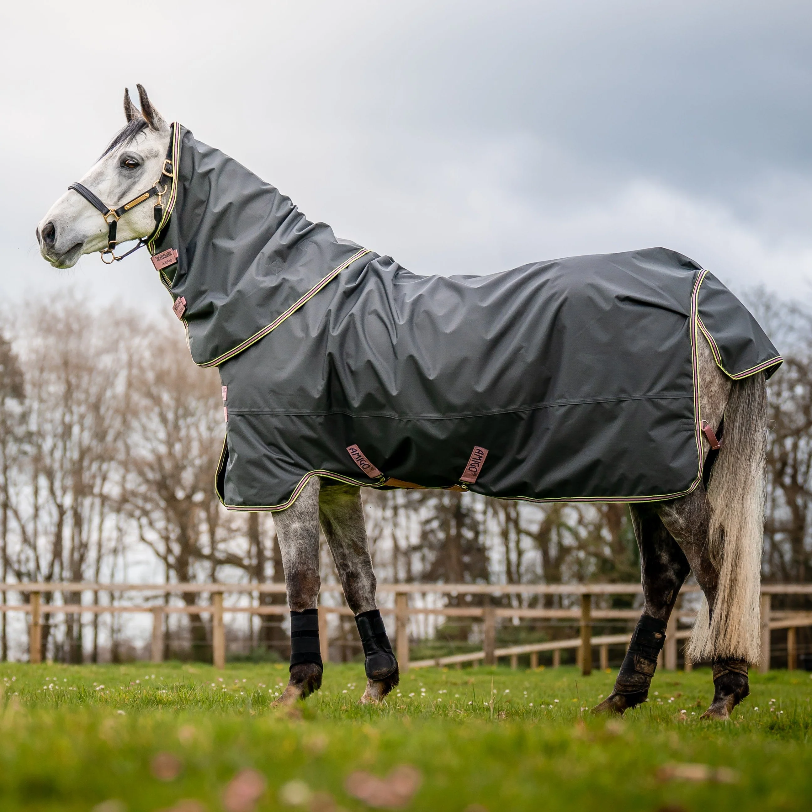 Horseware Ireland Amigo Hero 0g Turnout Rug - Image 3
