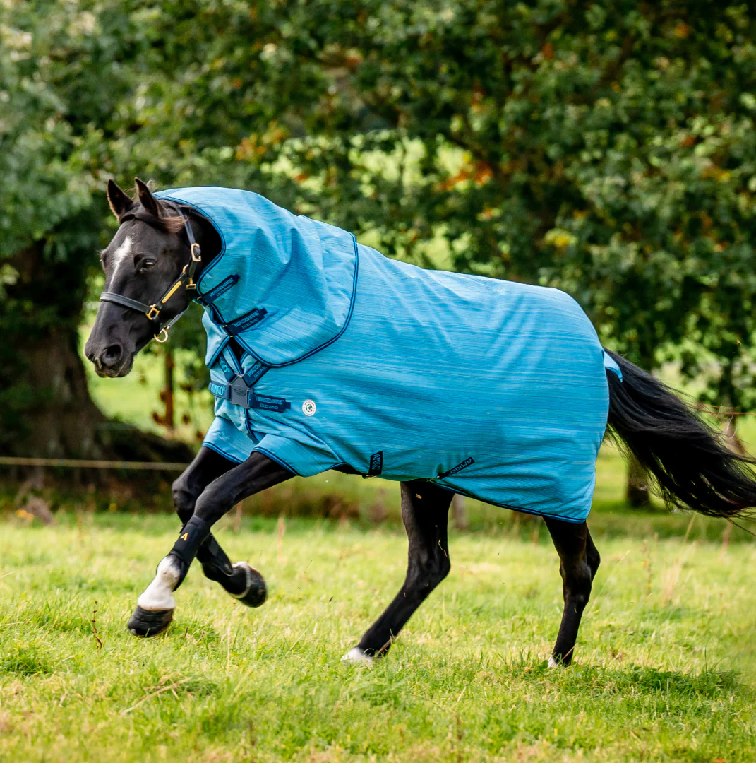 Horseware Ireland Amigo Hero 900 Revive Plus 50g - Image 2