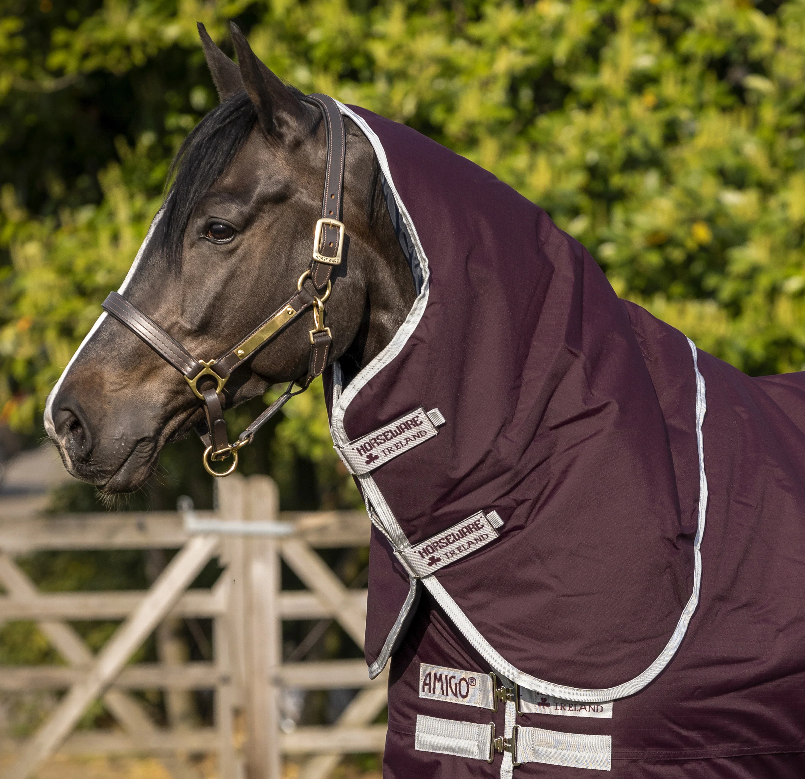Horseware Ireland Amigo Hero Ripstop Hood 0g - Image 3