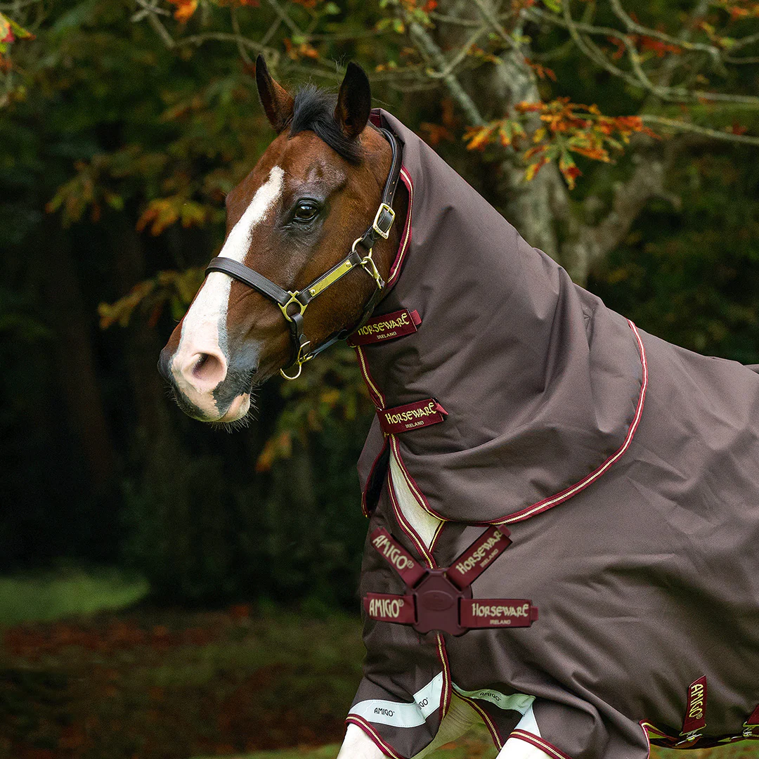 Horseware Ireland Amigo Bravo 1200D Original Hood 0g - Image 3