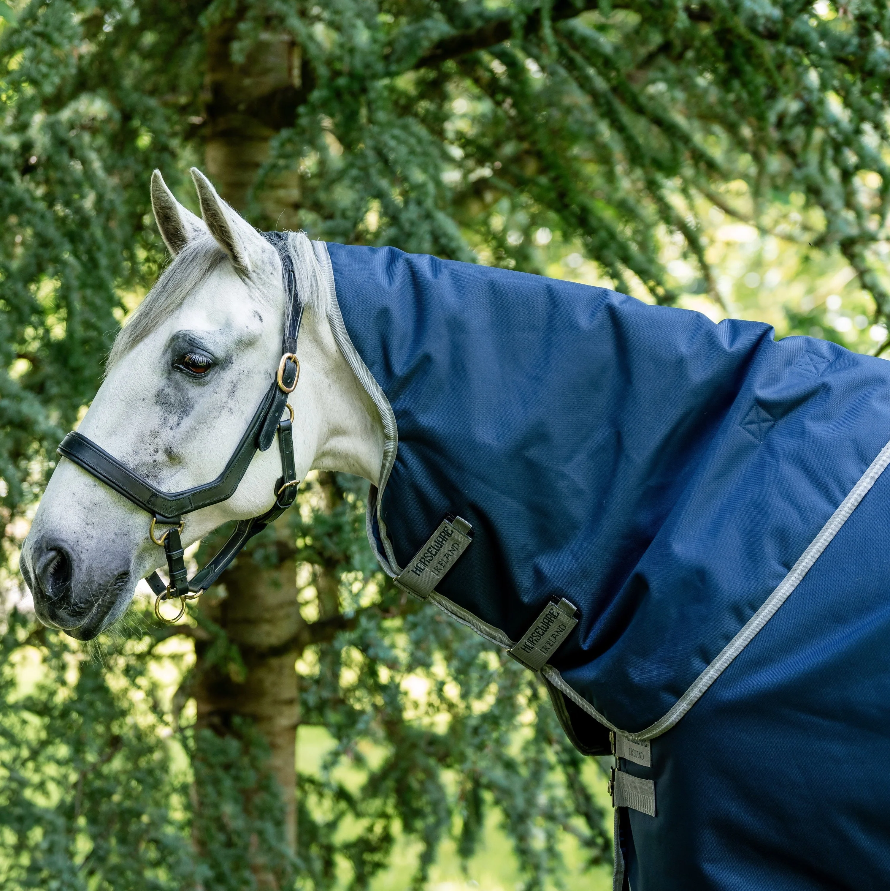 Horseware Ireland Amigo Bravo 1200D Original Hood 0g - Image 4