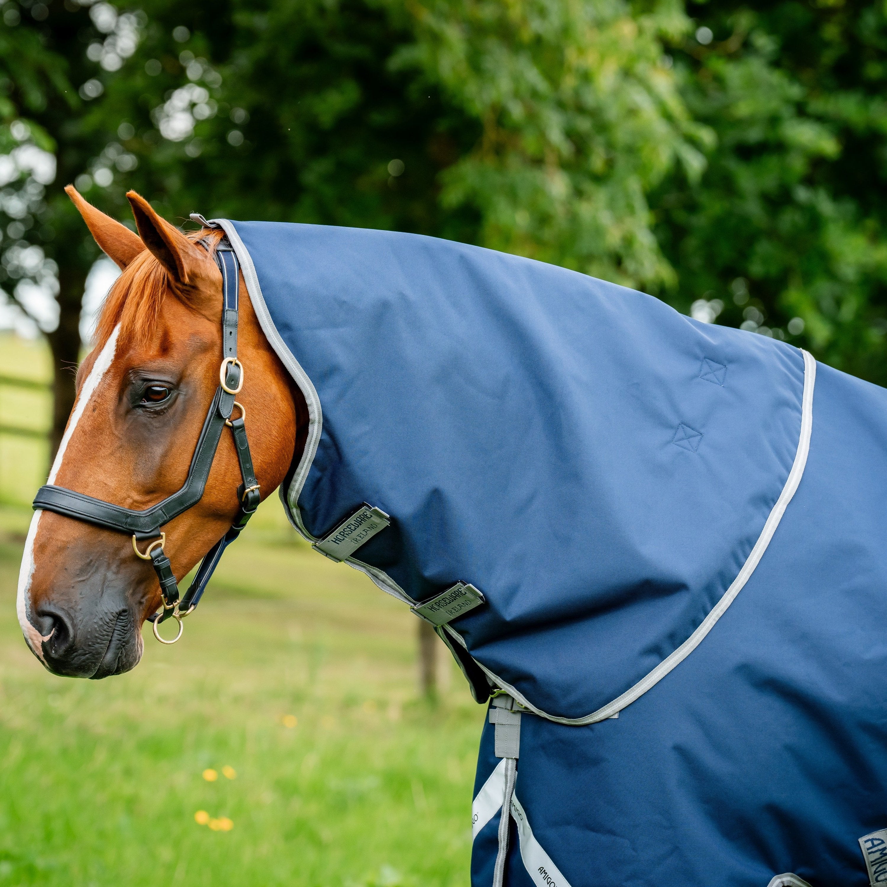 Horseware Ireland Amigo Bravo 1200D Original Hood 0g - Image 5