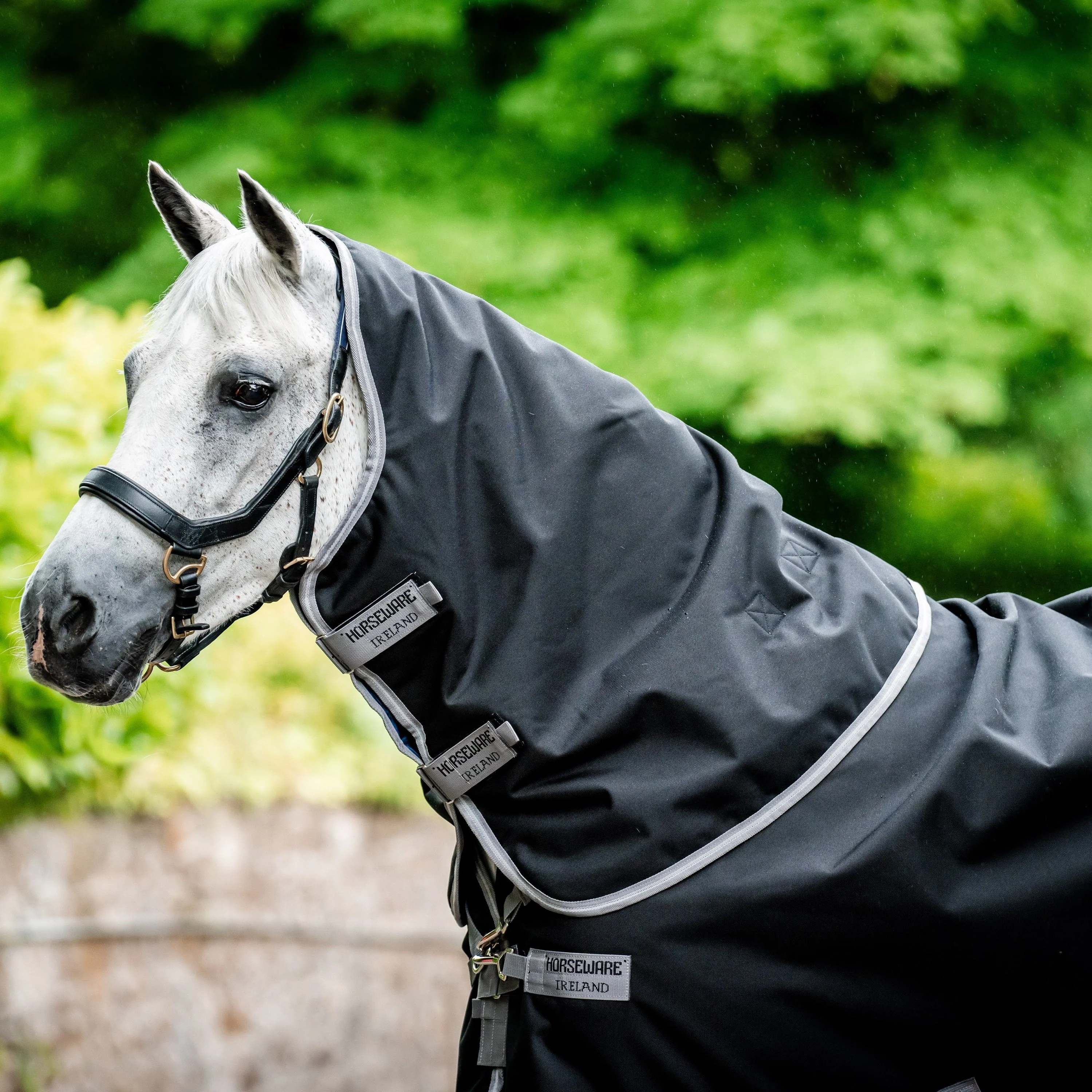 Horseware Ireland Amigo Bravo 1200D Original Hood 0g - Image 6