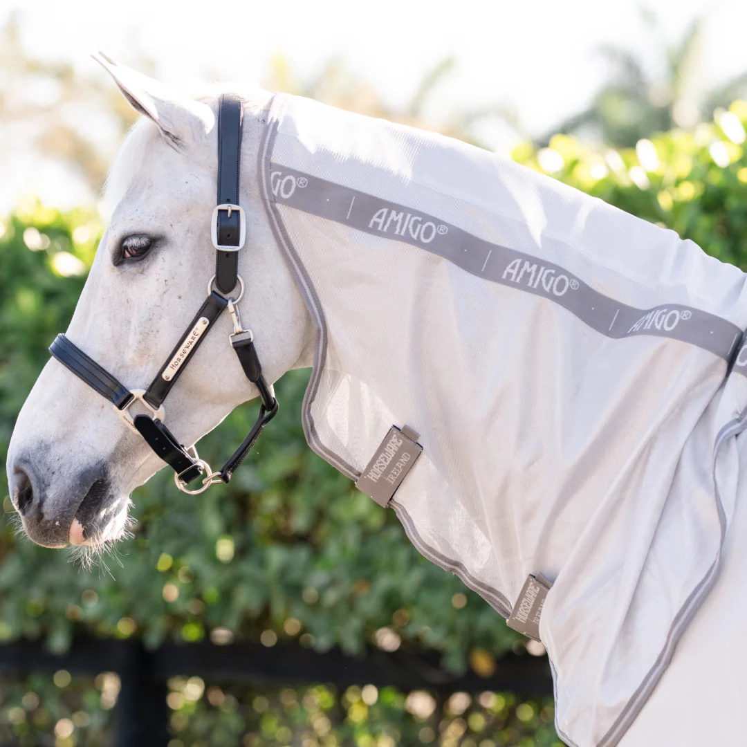 Horseware Ireland Amigo Integrated Fly Sheet - Image 6