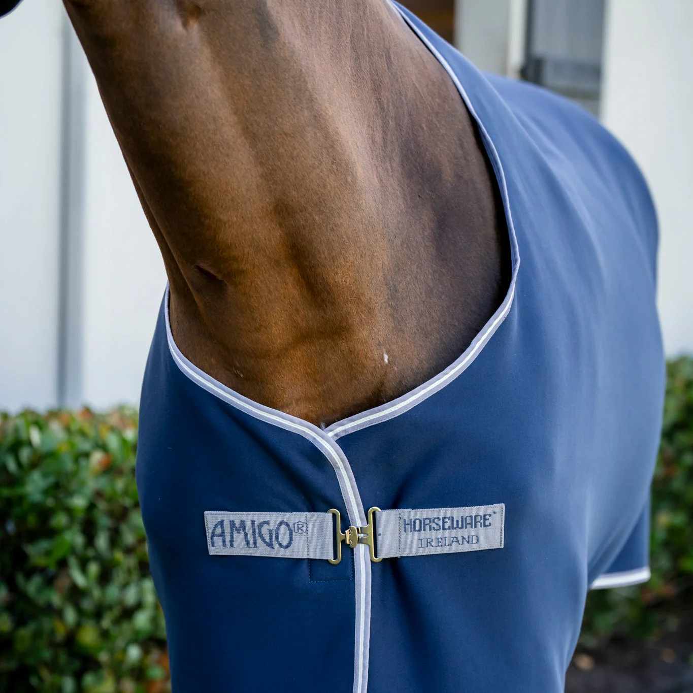 Horseware Ireland Amigo Jersey Cooler - Image 7