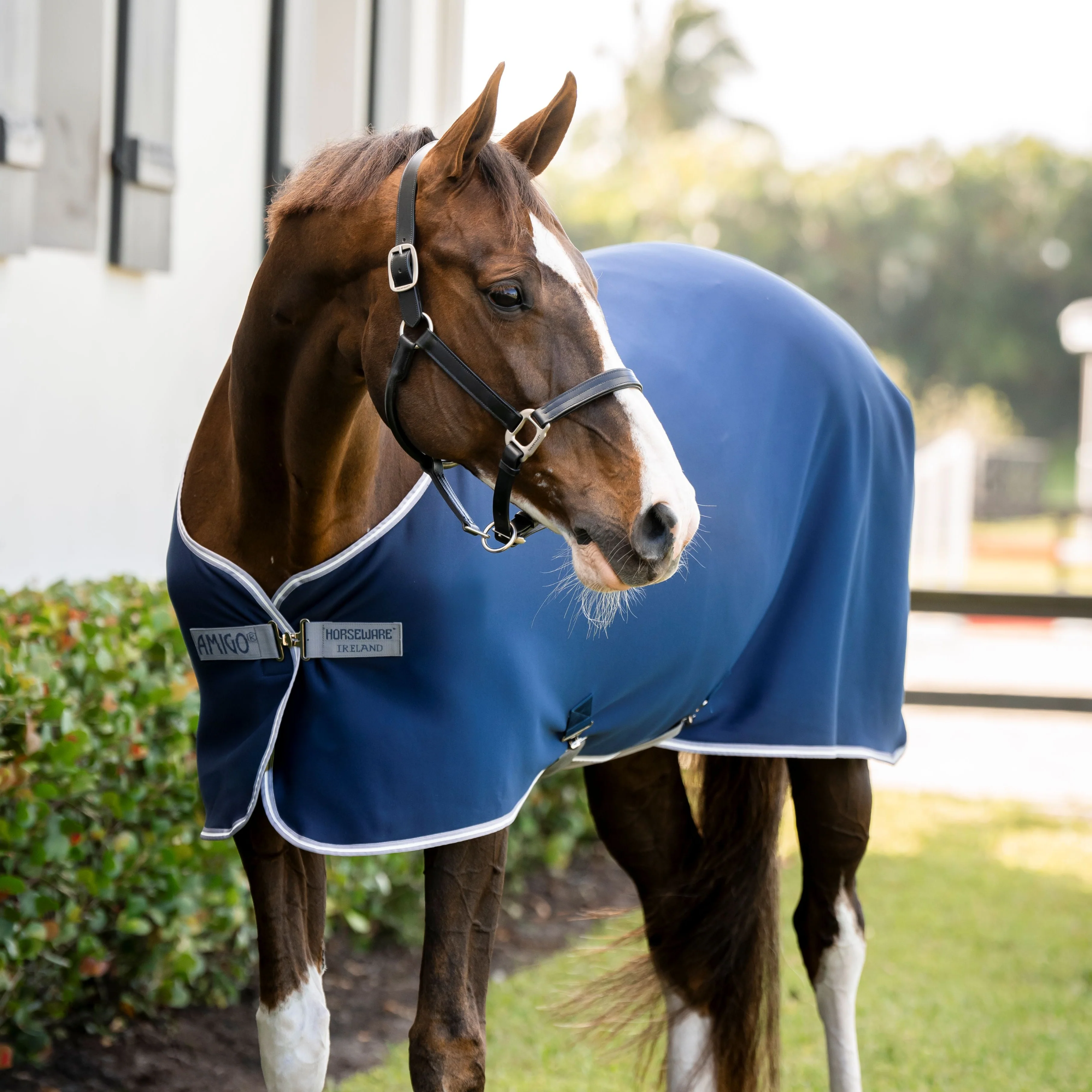 Horseware Ireland Amigo Jersey Pony Cooler - Image 2